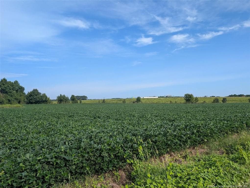 Photo 2 - Dallas Road, Lumberton, NC 28358