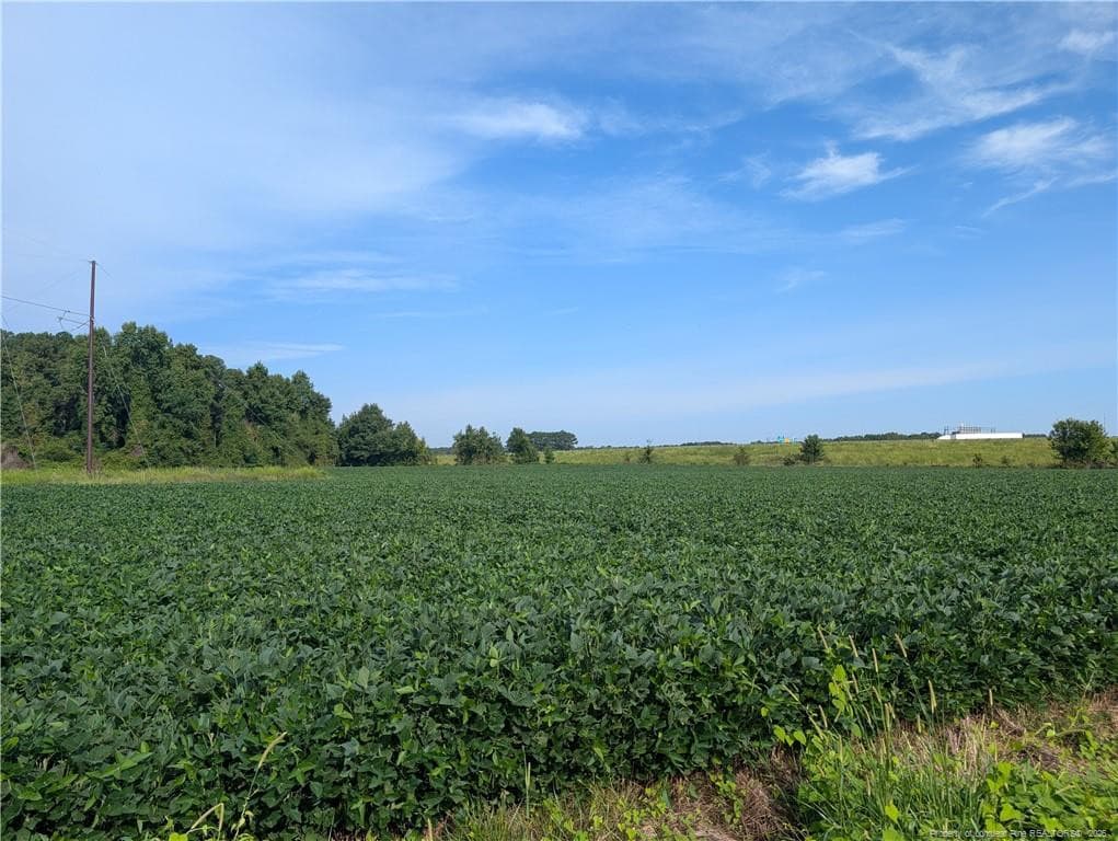 Photo 5 - Dallas Road, Lumberton, NC 28358