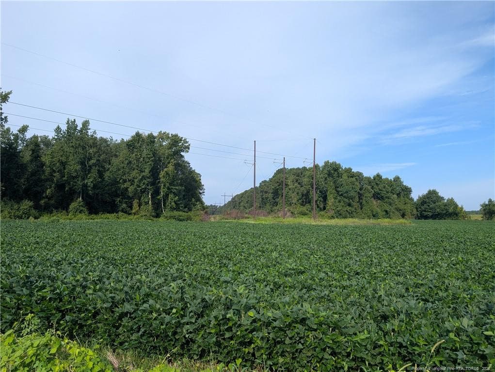 Photo 4 - Dallas Road, Lumberton, NC 28358