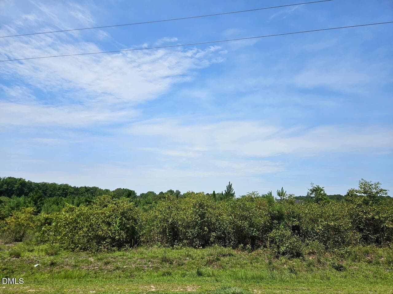 1000073823 - 0 Collier Road, Wade, NC 28395