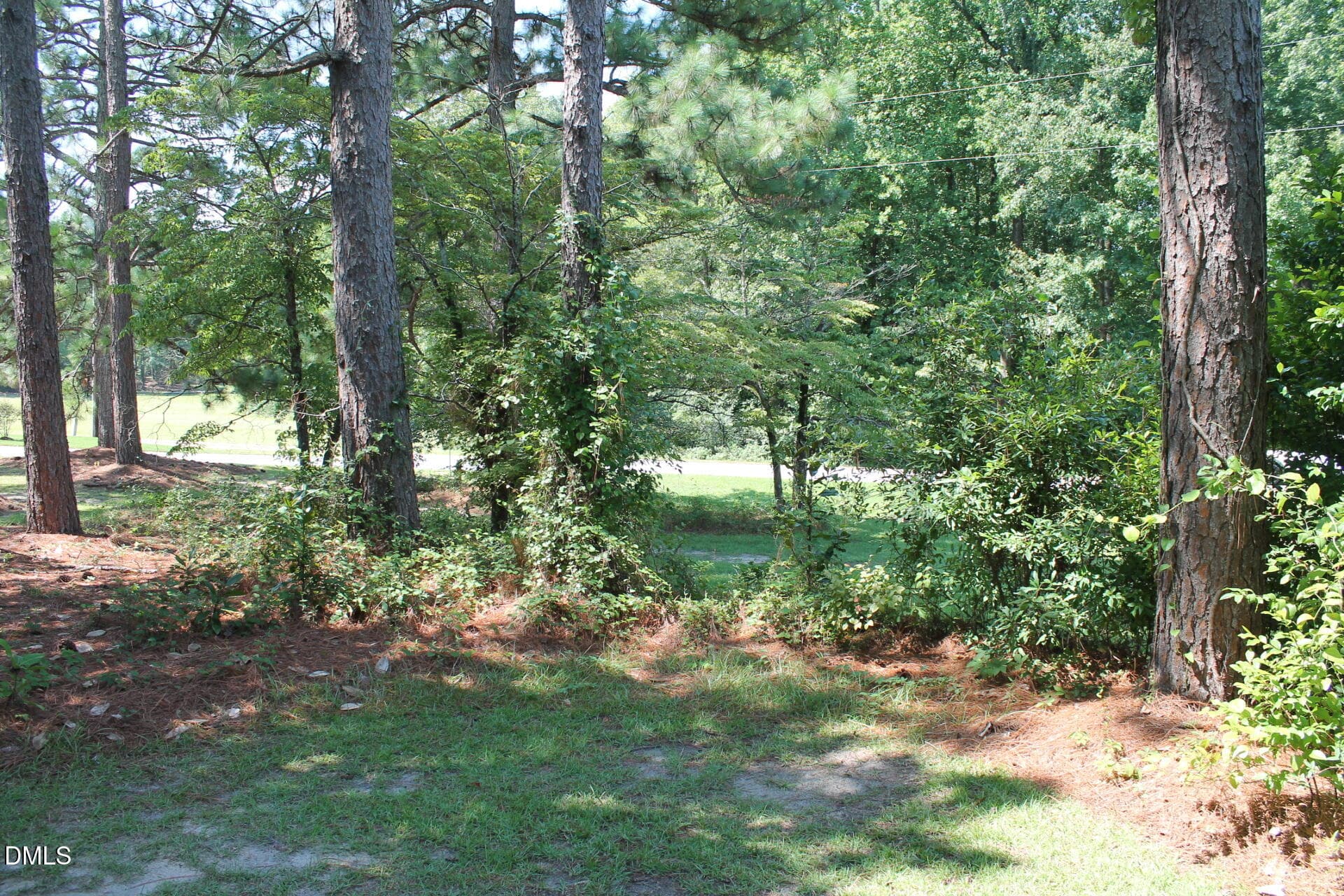 IMG_2318 - 0 Lakeside Drive, Lillington, NC 27546