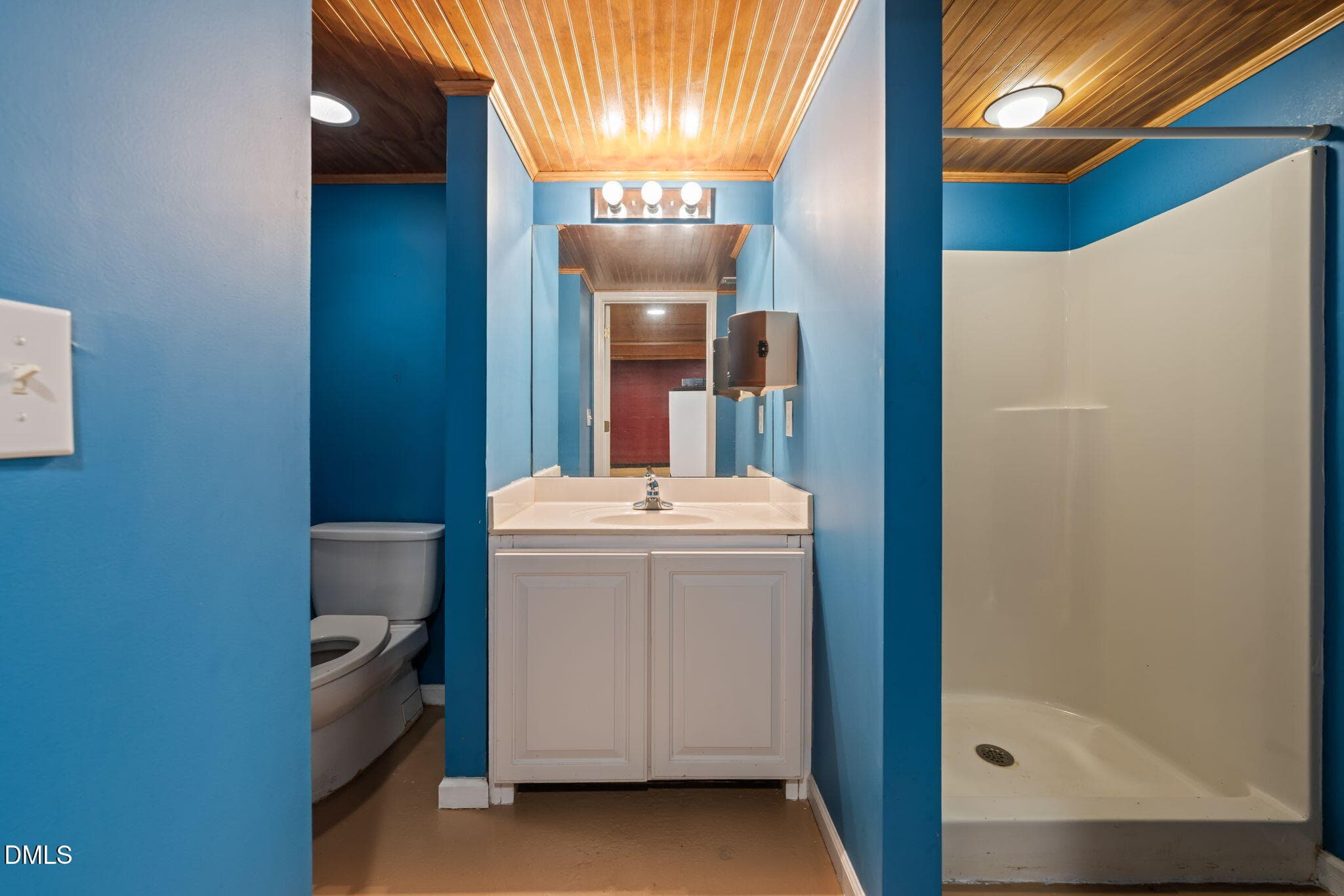 Basement - 1312 Buffaloe Road, Garner, NC 27529, Garner
