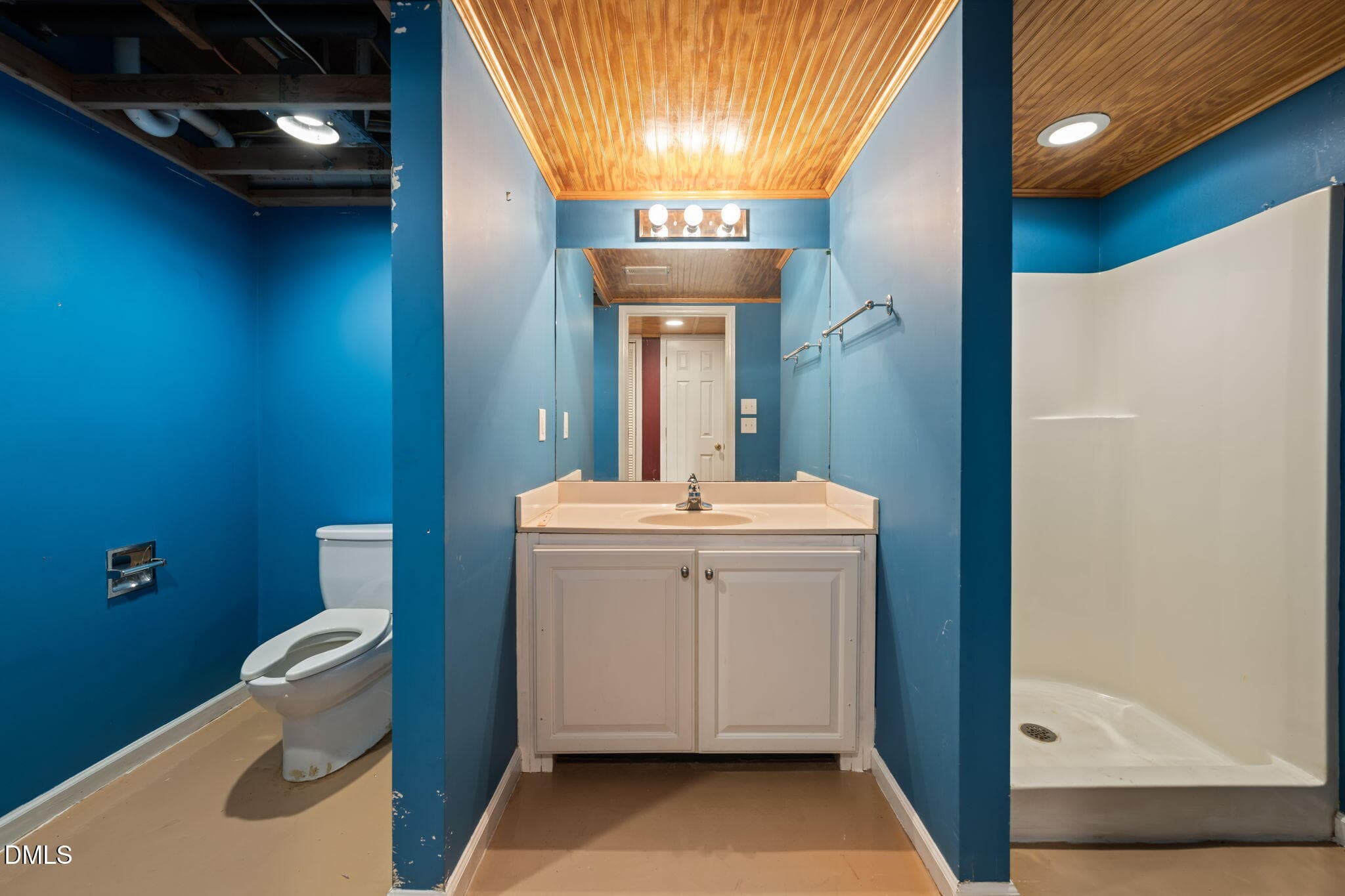 Basement - 1312 Buffaloe Road, Garner, NC 27529, Garner