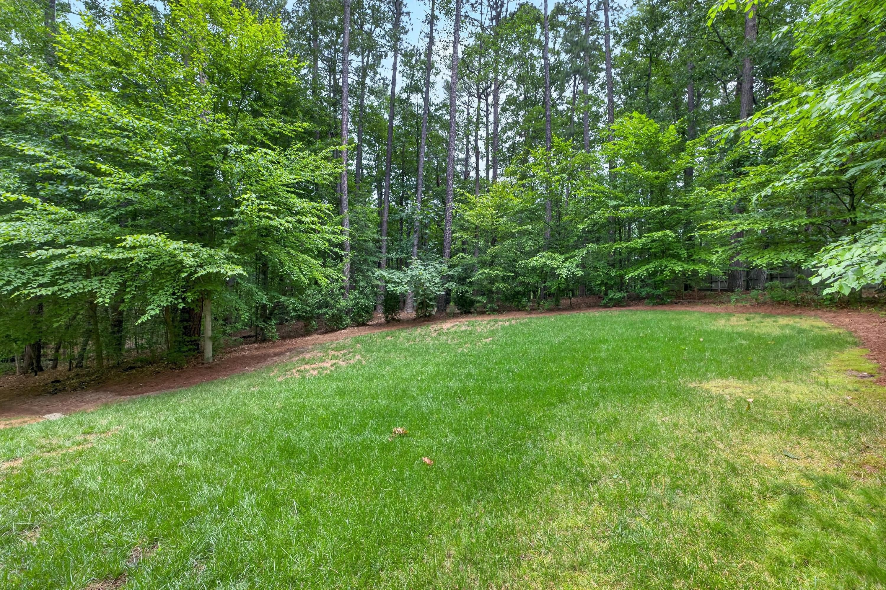 Scene-77.jpg - 9004 Hometown Drive, Raleigh, NC 27615, Raleigh
