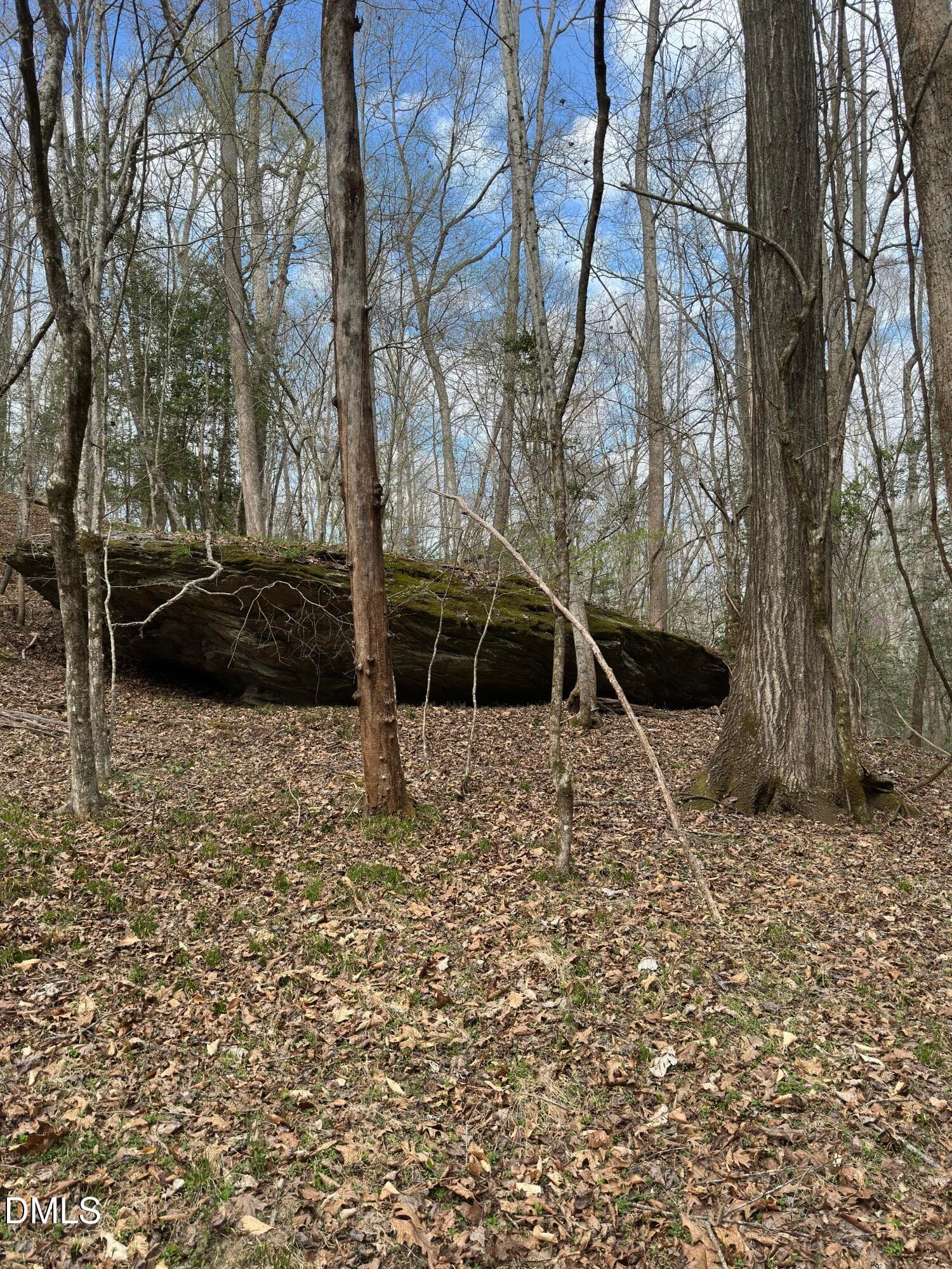 View - 00 Seven Island (tr 2) Road, Danbury, NC 27016
