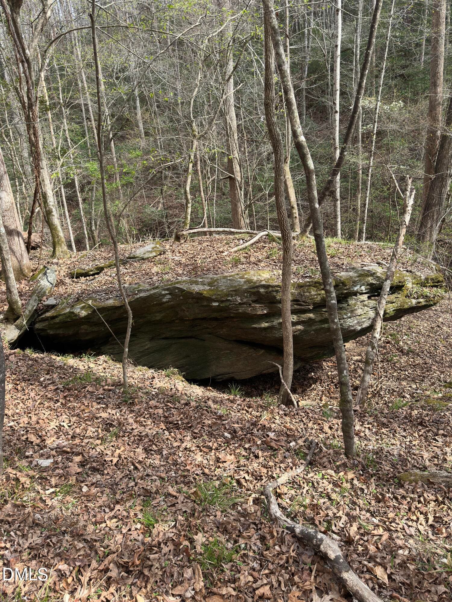 View - 00 Seven Island (tr 2) Road, Danbury, NC 27016