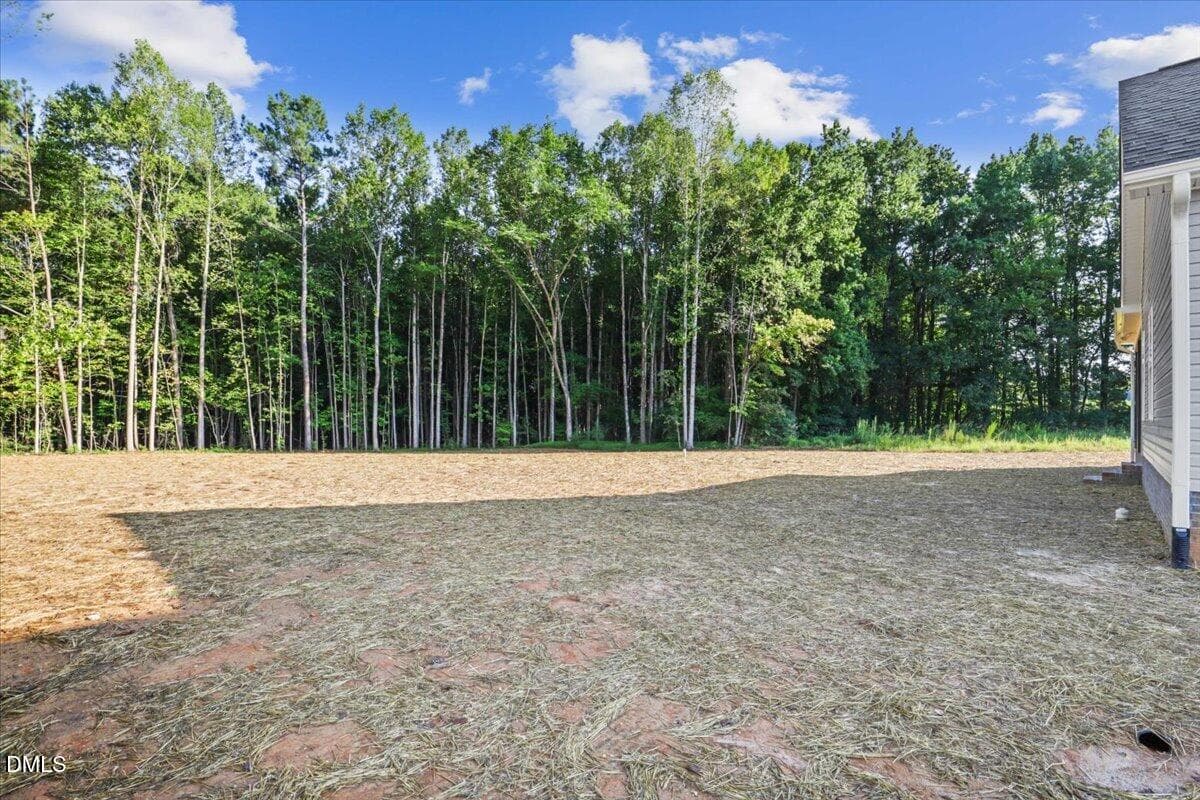 06-1575 S Big Woods Rd-6 - 1575 S Big Woods Road, Spring Hope, NC 27882