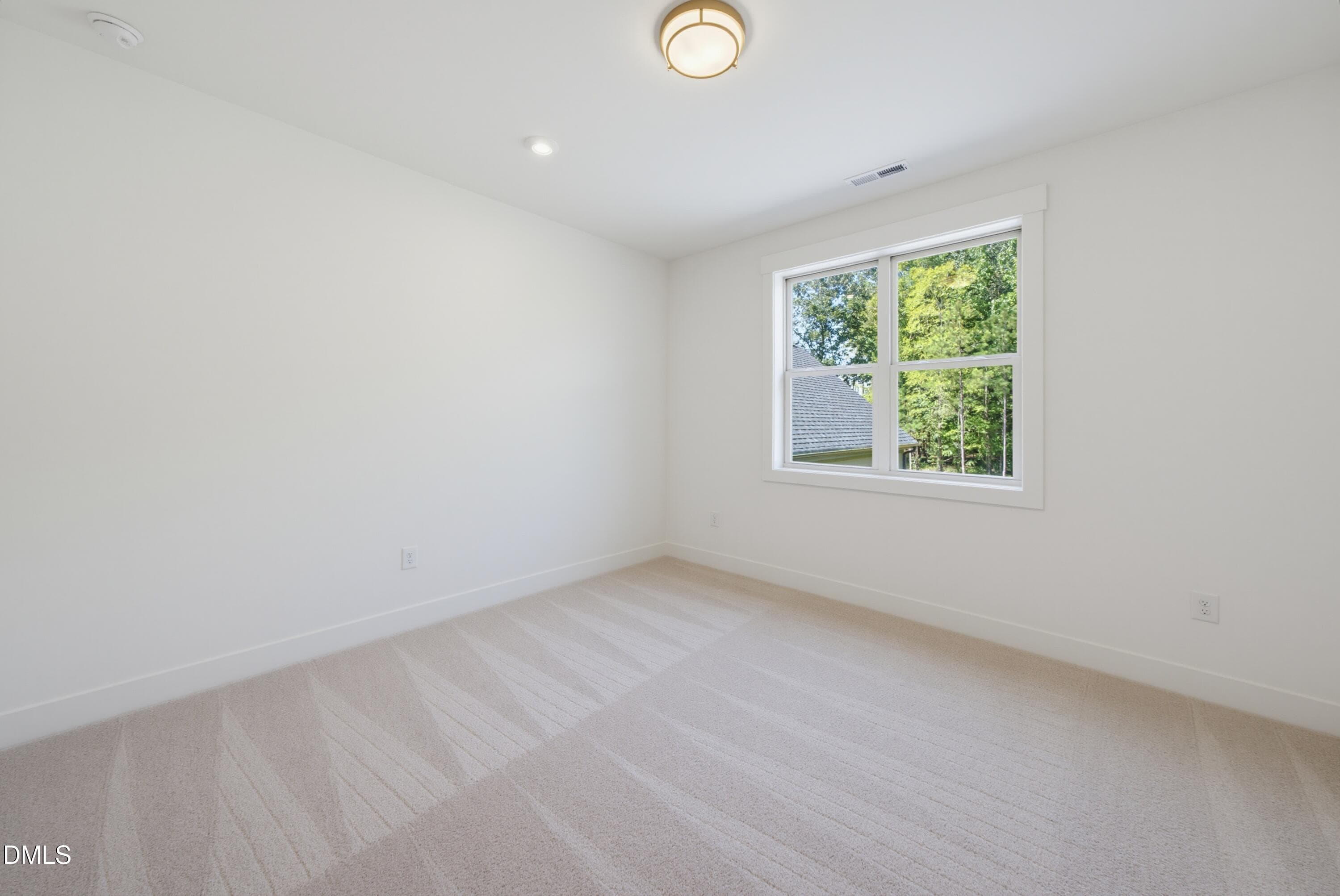 DSC05295 - 476 Mollie Meadow Drive, Zebulon, NC 27597, Zebulon