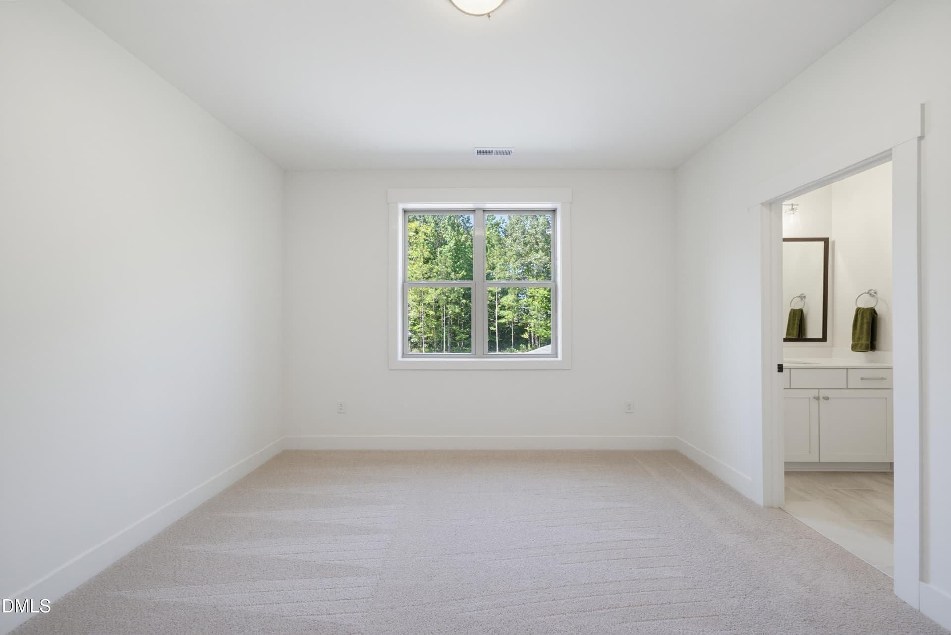 DSC05298 - 476 Mollie Meadow Drive, Zebulon, NC 27597