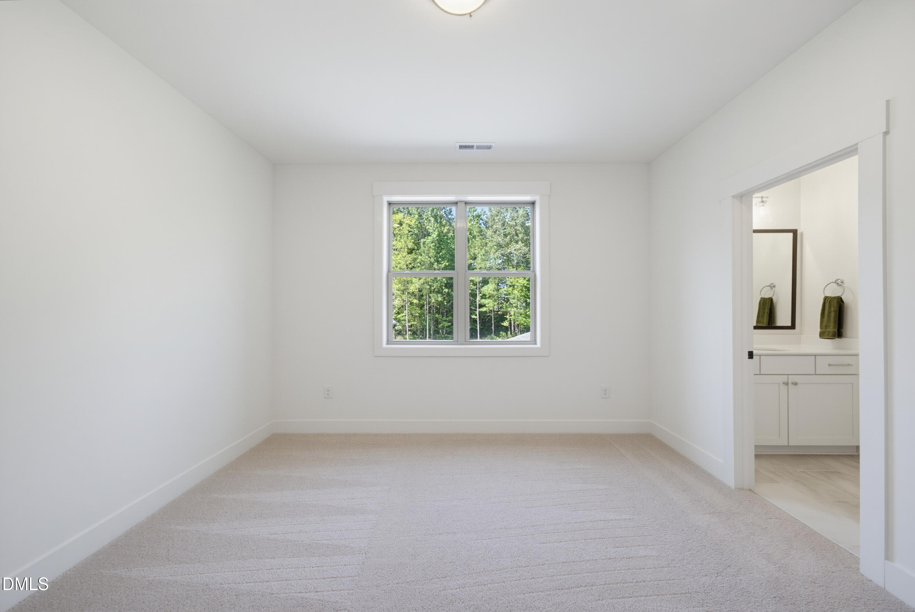 DSC05298 - 476 Mollie Meadow Drive, Zebulon, NC 27597, Zebulon