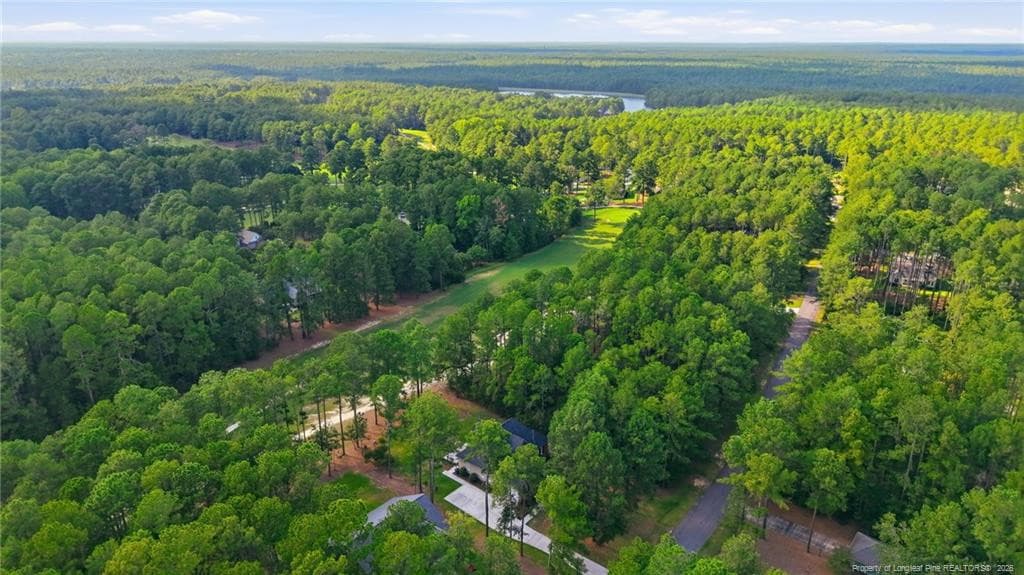 Photo 43 - 30000 Loblolly Court, Wagram, NC 28396