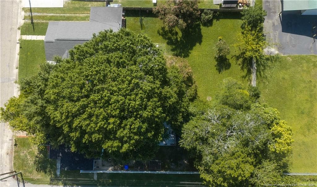 Photo 32 - 219 W Brocklyn Street, Benson, NC 27504, Benson