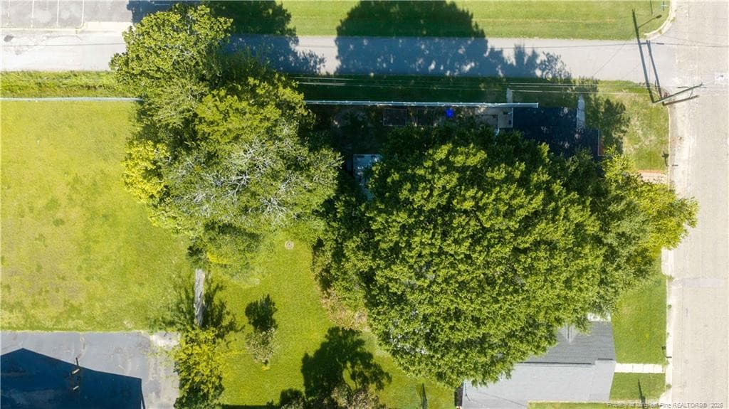 Photo 33 - 219 W Brocklyn Street, Benson, NC 27504, Benson