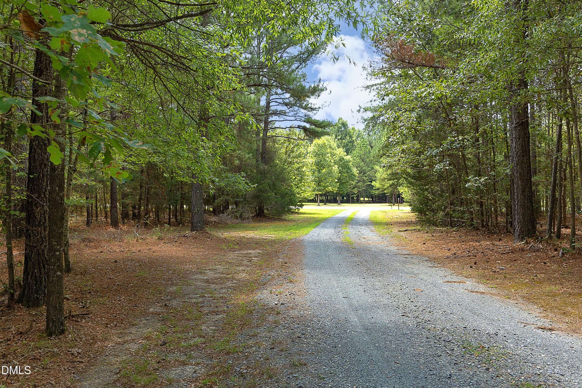 Driveway - 535 Poplar Forest Lane, Pittsboro, NC 27312