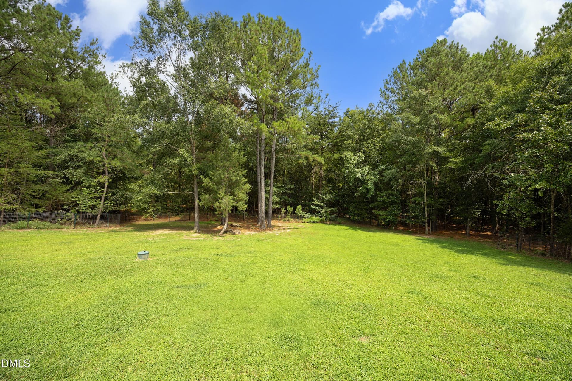 Backyard - 535 Poplar Forest Lane, Pittsboro, NC 27312