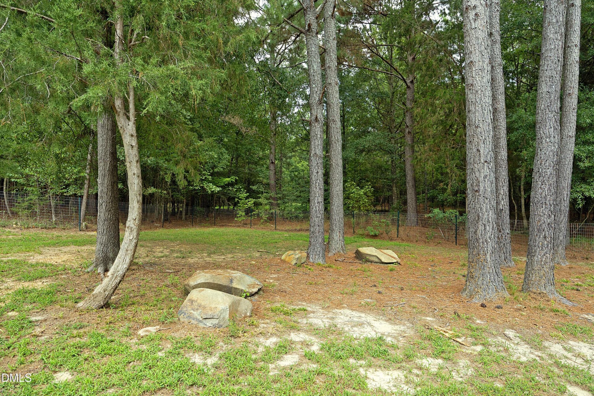 Backyard - 535 Poplar Forest Lane, Pittsboro, NC 27312