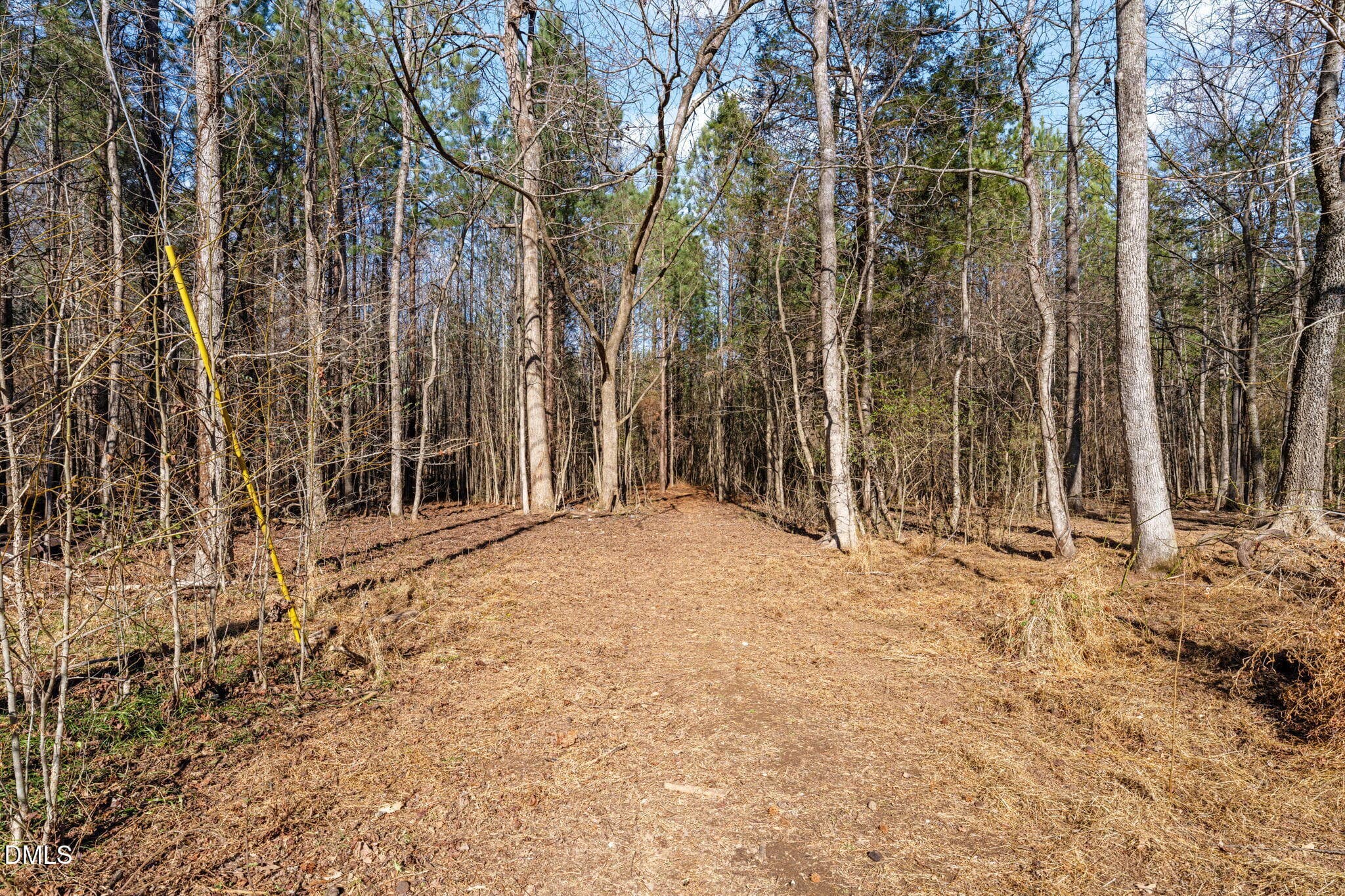 Trail to back of property - 2822 Little River Church Road, Hurdle Mills, NC 27541