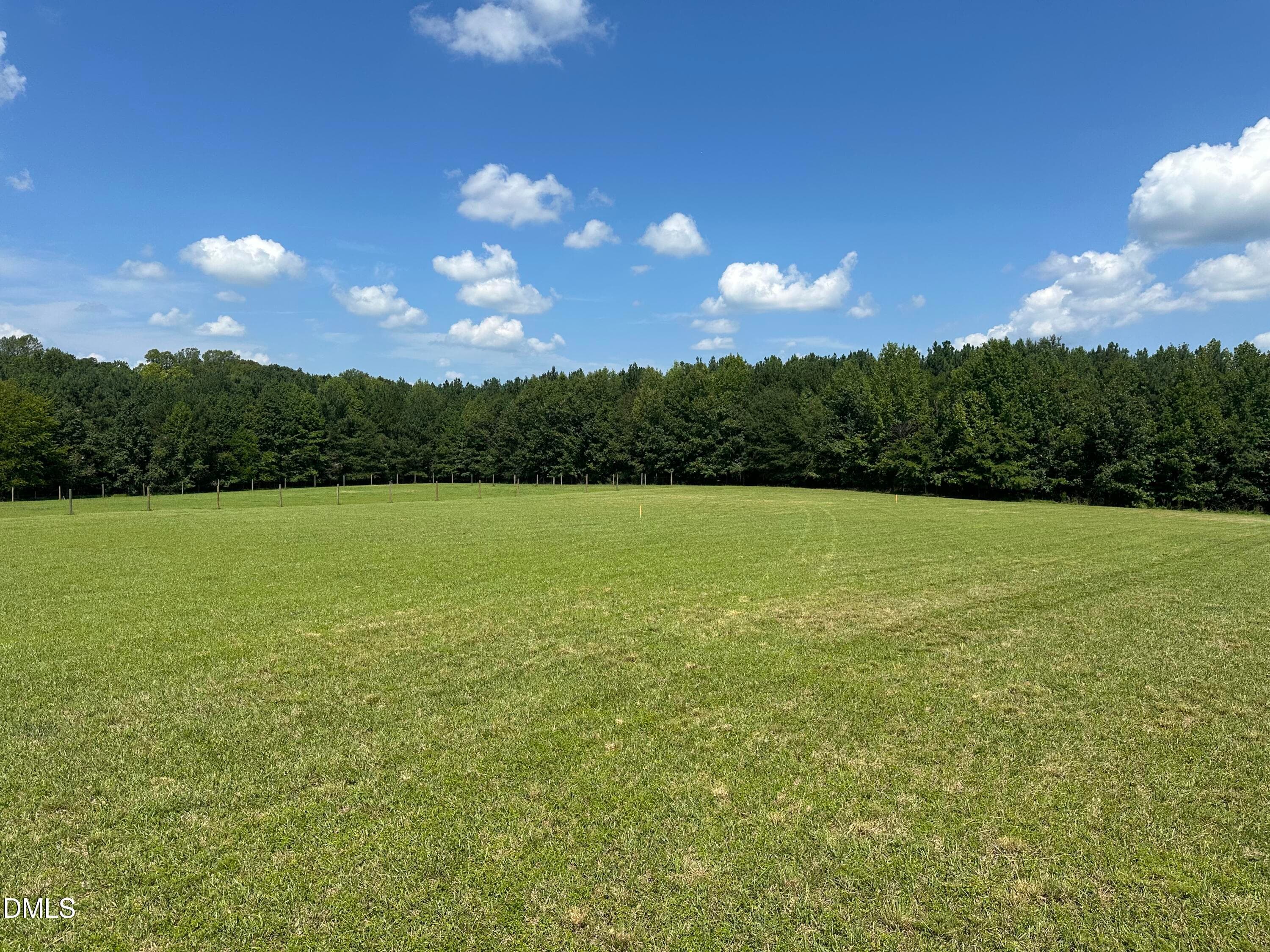 Partially Cleared Land - 2822 Little River Church Road, Hurdle Mills, NC 27541