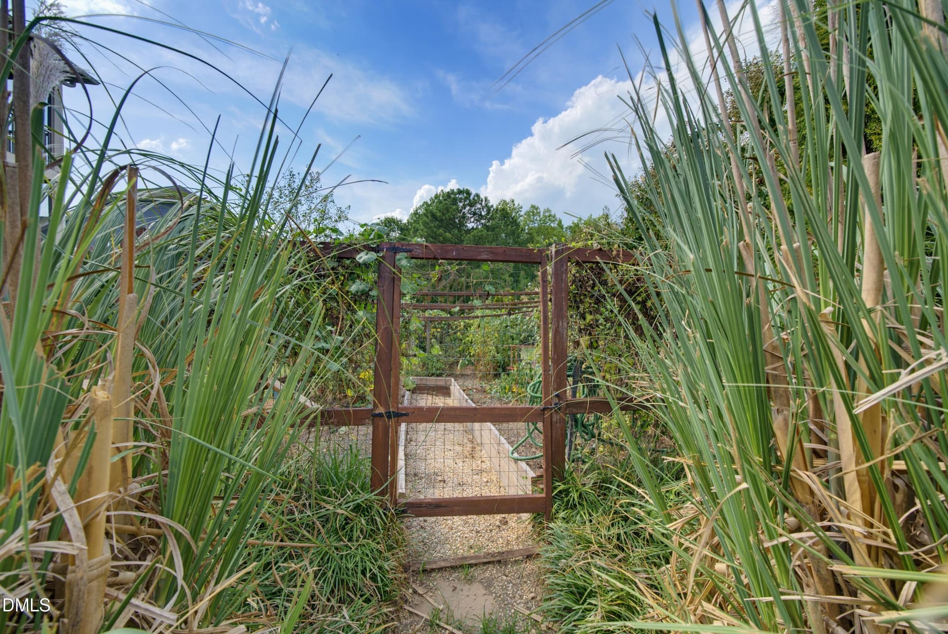 Vegetable garden - 2804 Lumber River Trail, Apex, NC 27502