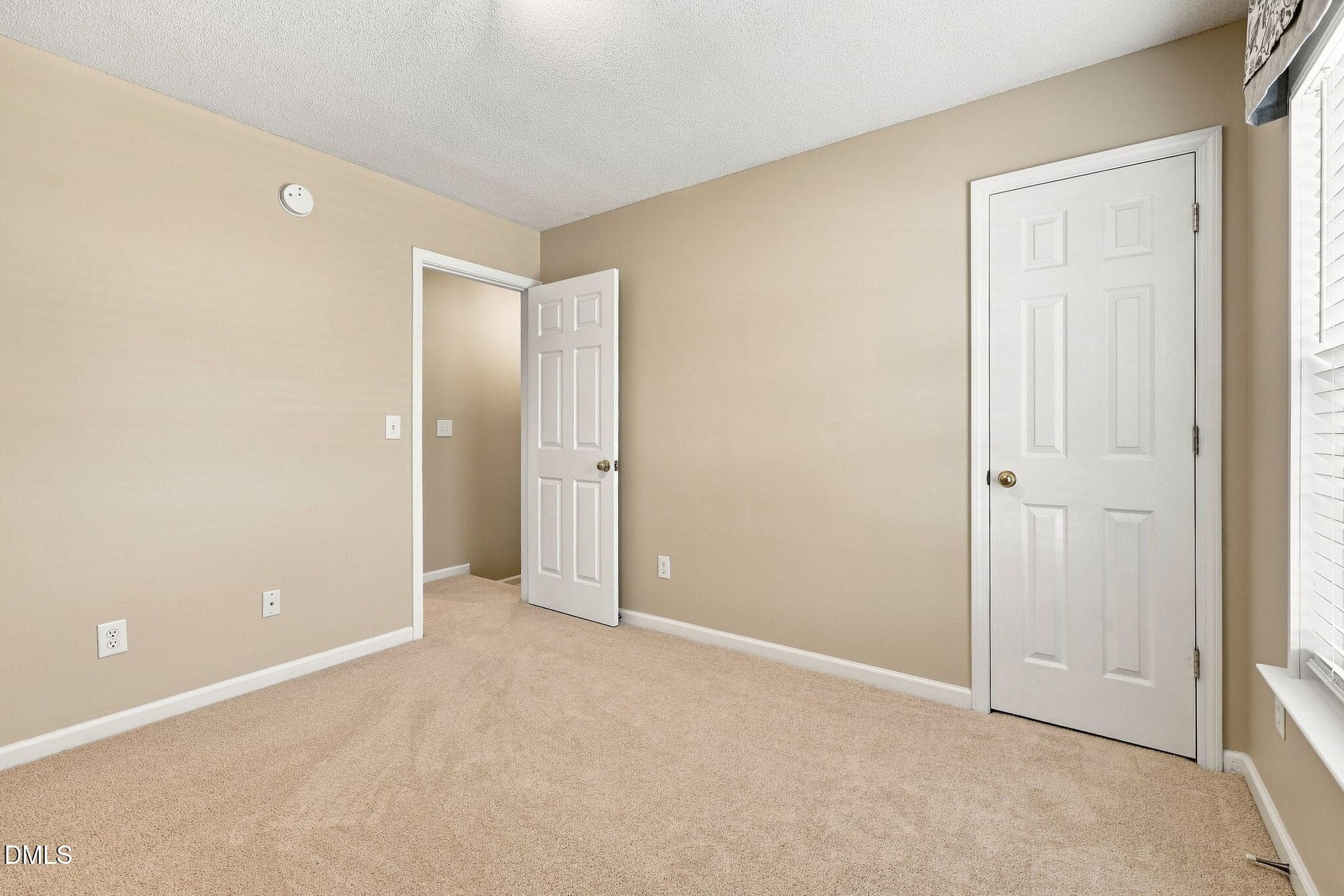 43-web-or-mls-IMG_2093_edit - 104 Downing Bluff Drive, Morrisville, NC 27560, Morrisville