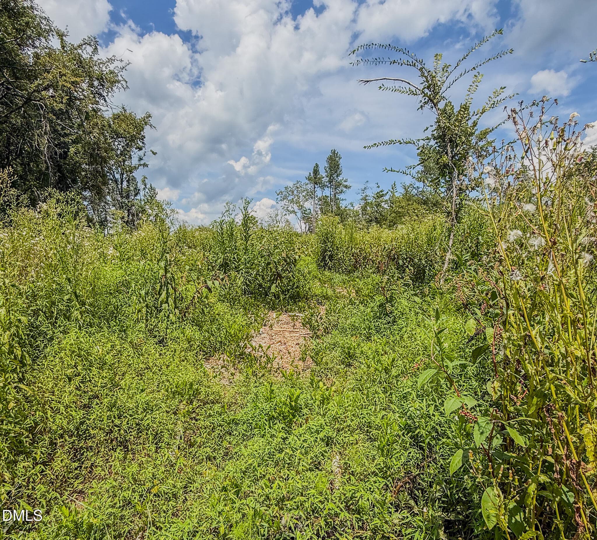 52 - 201 Briggs Road, Hurdle Mills, NC 27541
