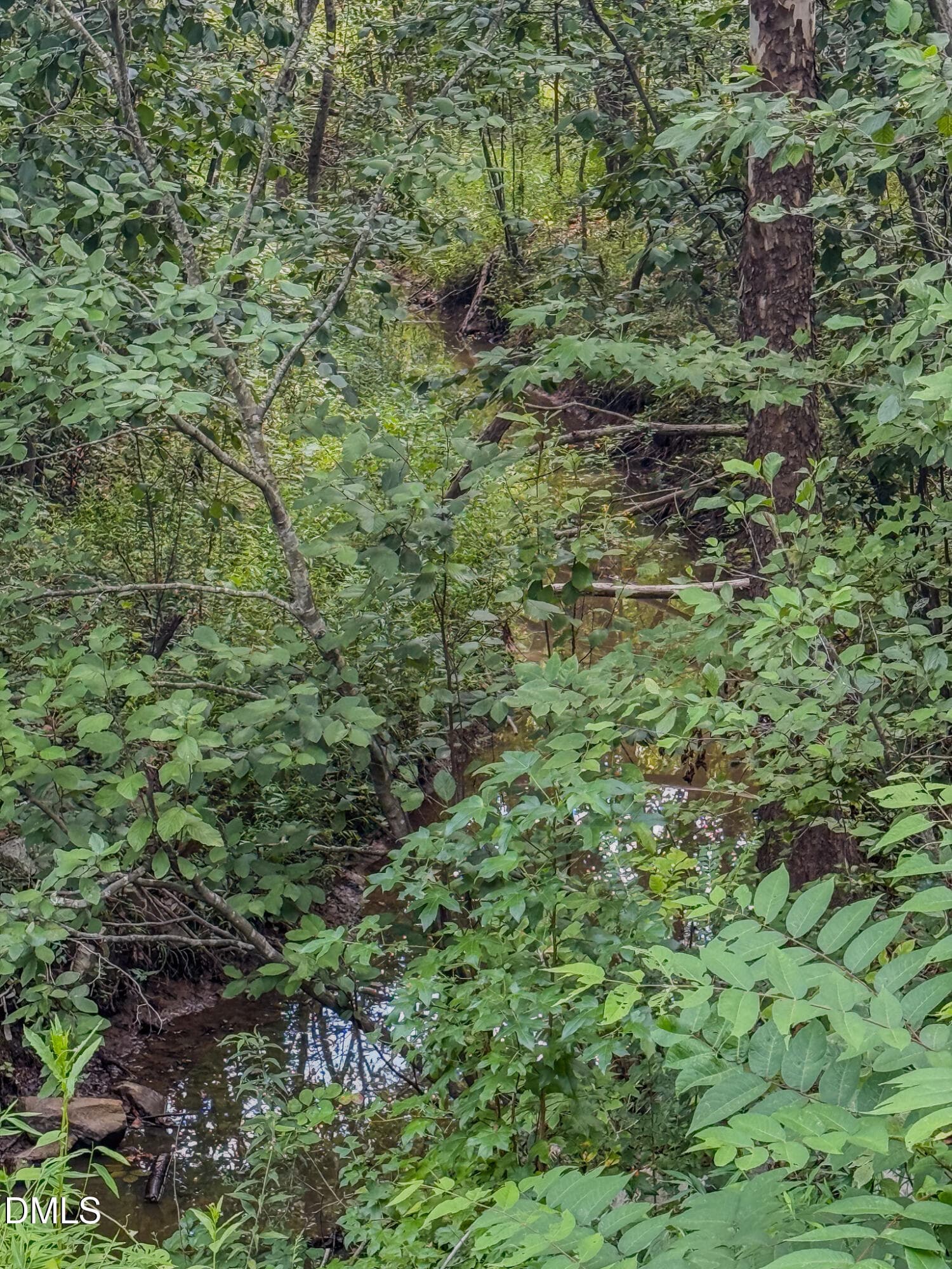 55 - 201 Briggs Road, Hurdle Mills, NC 27541
