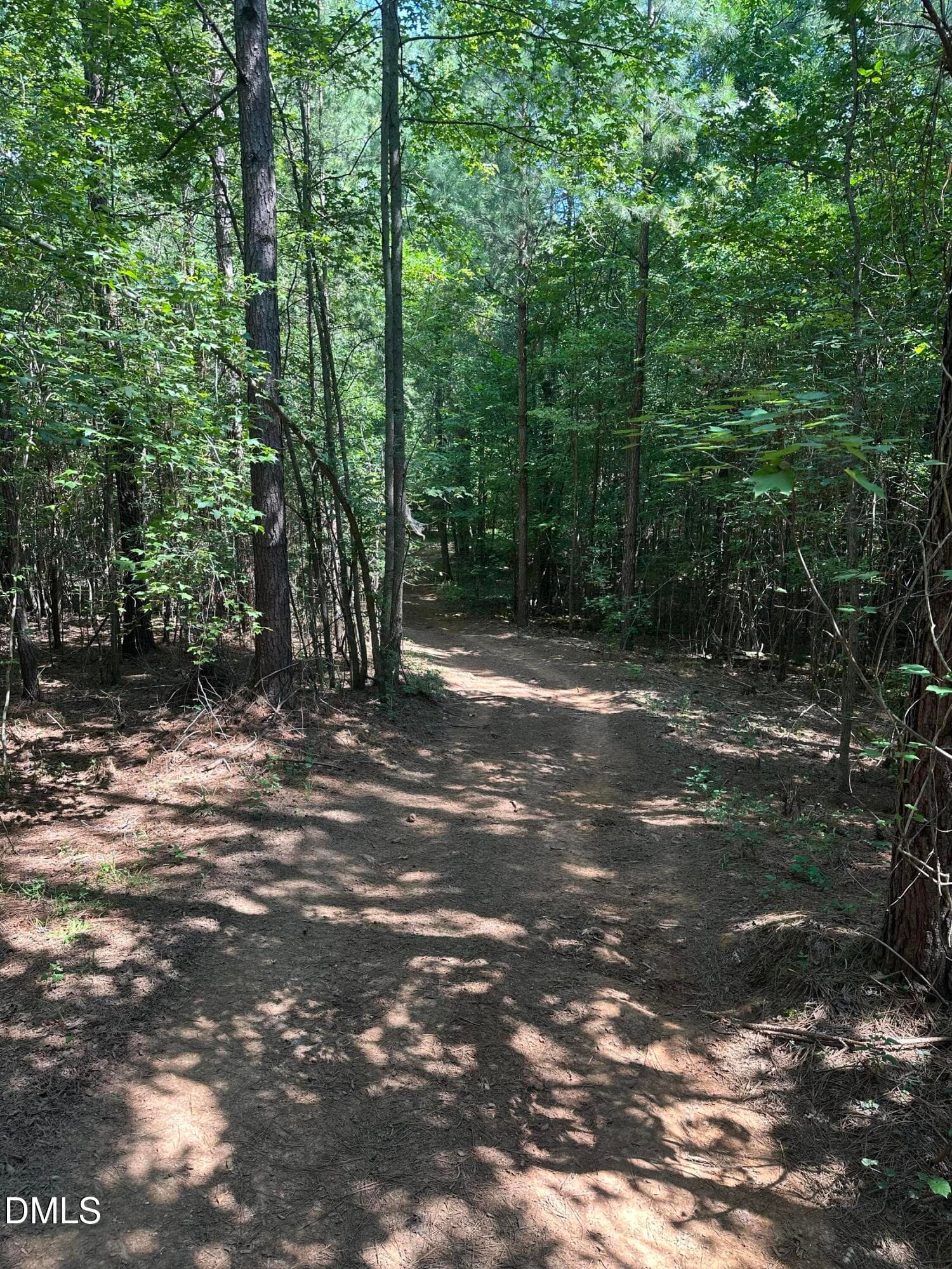 Trail - 2822 Little River Church Road, Hurdle Mills, NC 27541