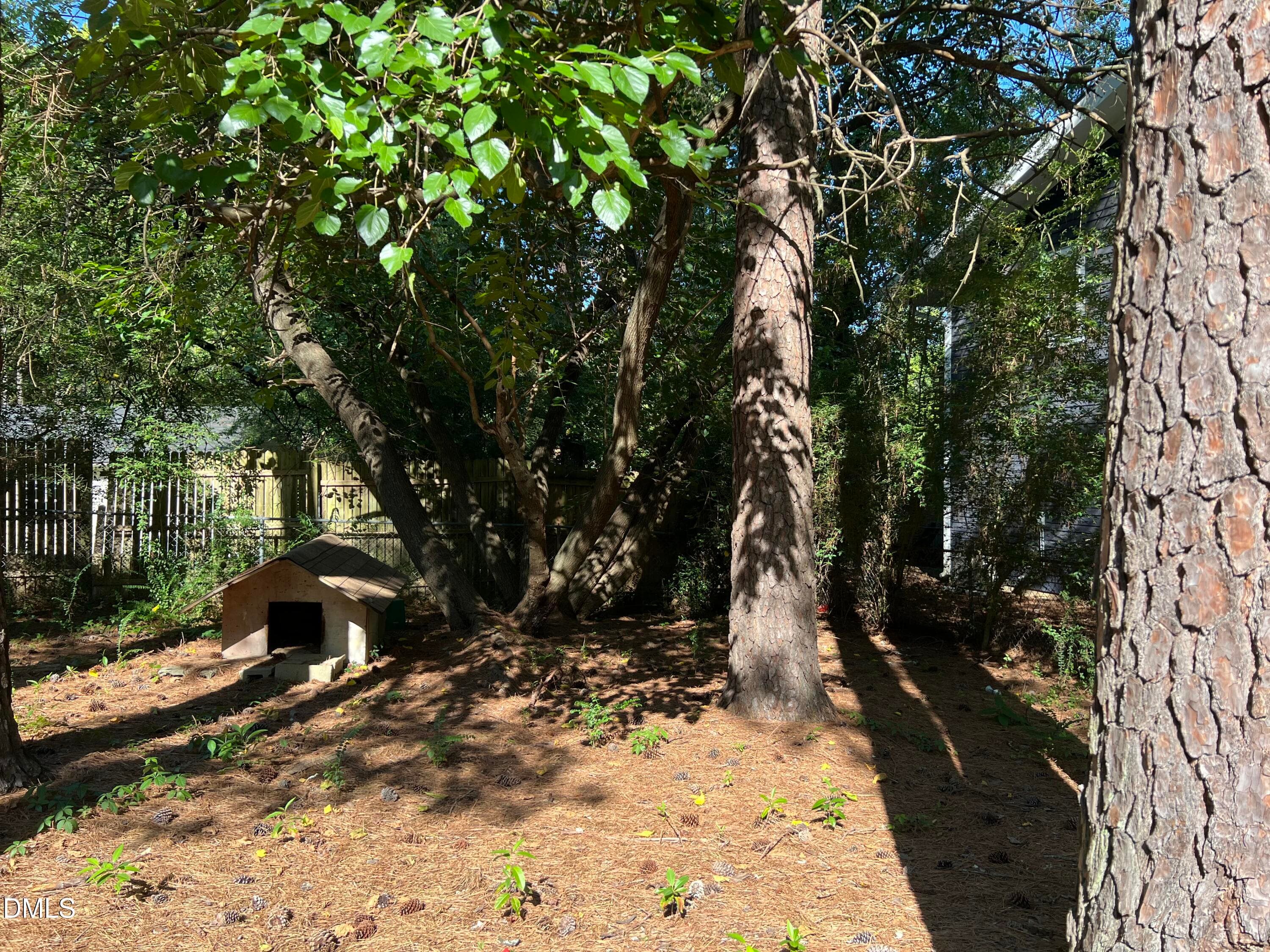 Backyard - 2517 Keith Drive, Raleigh, NC 27610, Raleigh