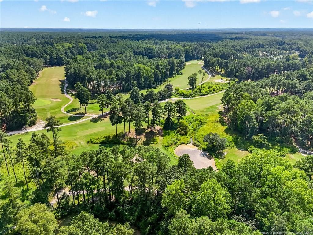 Photo 46 - 30261 East Lake Road, Wagram, NC 28396