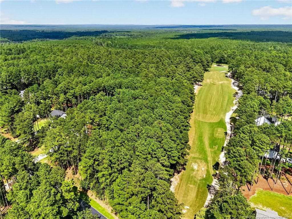 Photo 48 - 30261 East Lake Road, Wagram, NC 28396