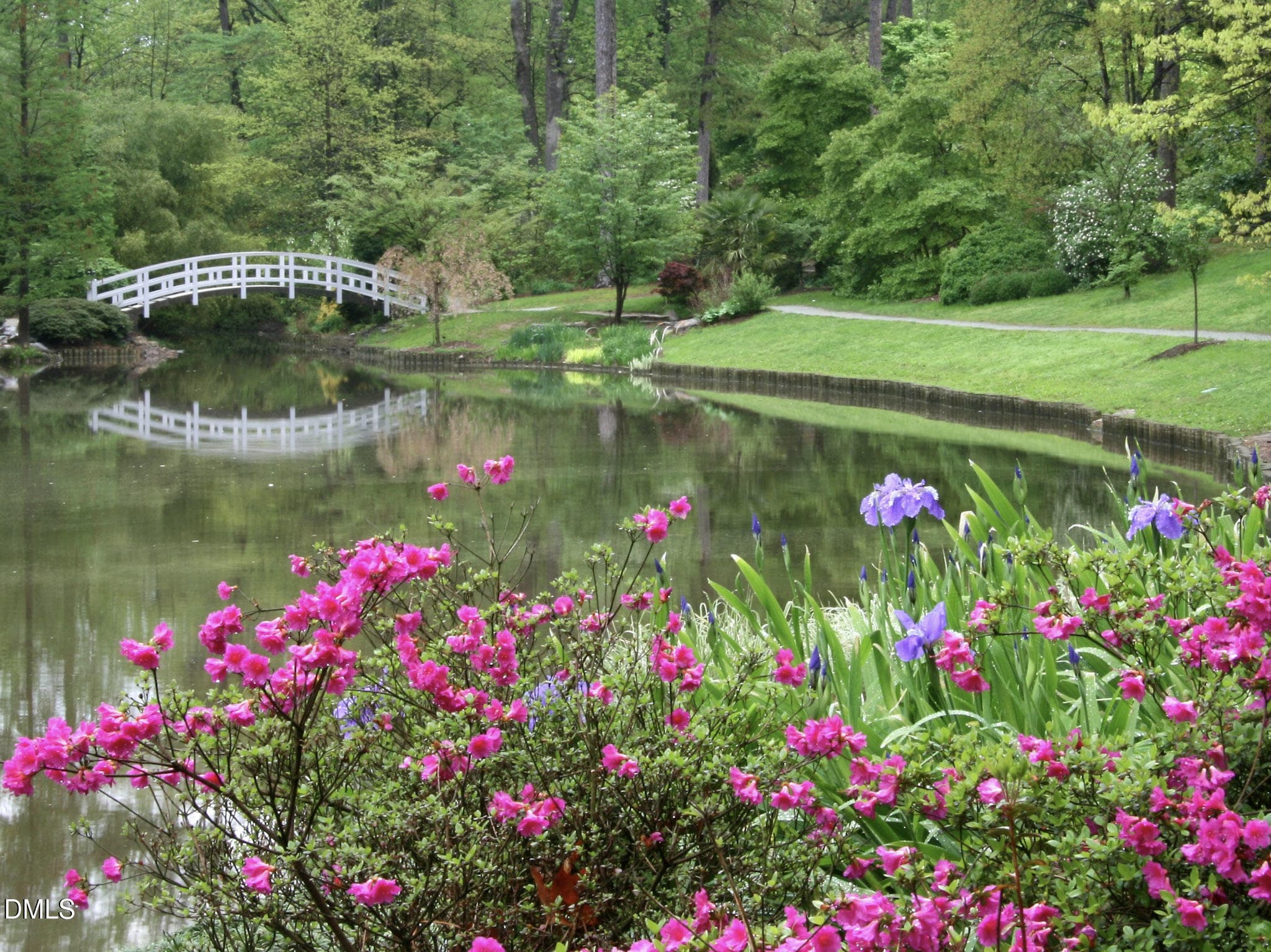 AdobeStock_368004701 - 4006 Phelps Lake Drive, Durham, NC 27703, Durham