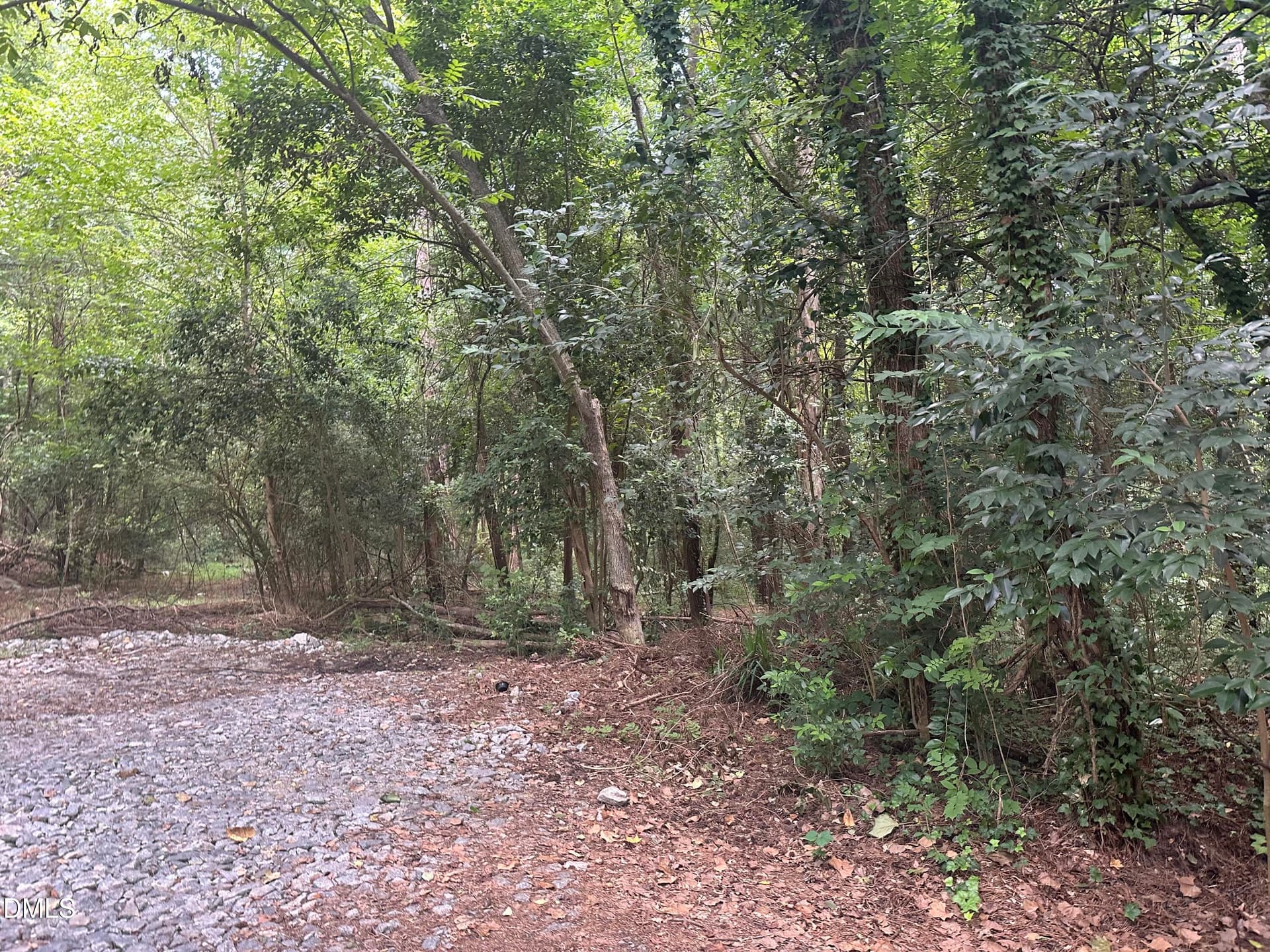 IMG_7164 - 0 Cedar Lane, Garner, NC 27529