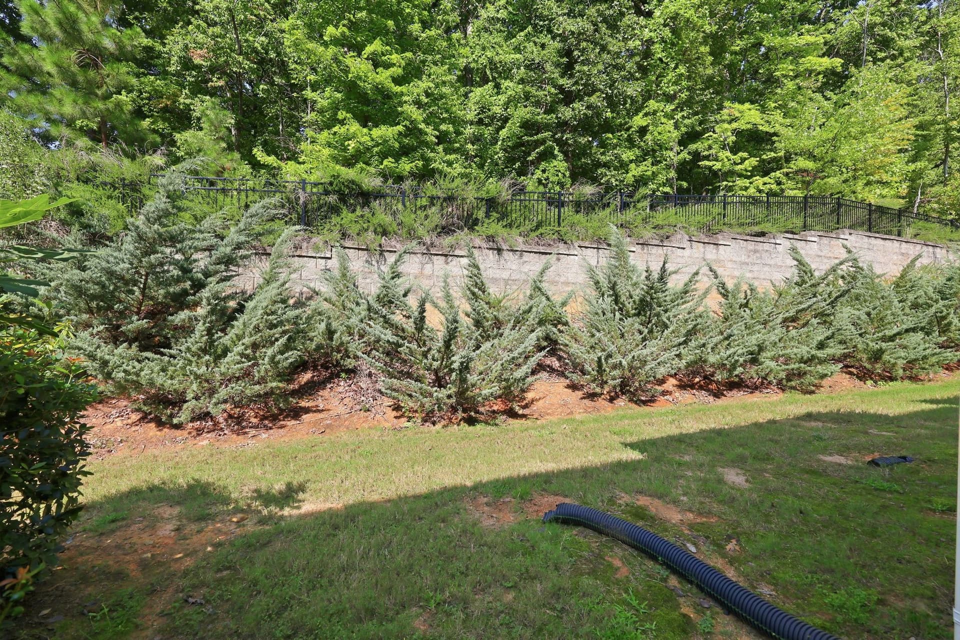 52-web-or-mls-IMG_4587.jpg - 409 Great Eno Path, Hillsborough, NC 27278