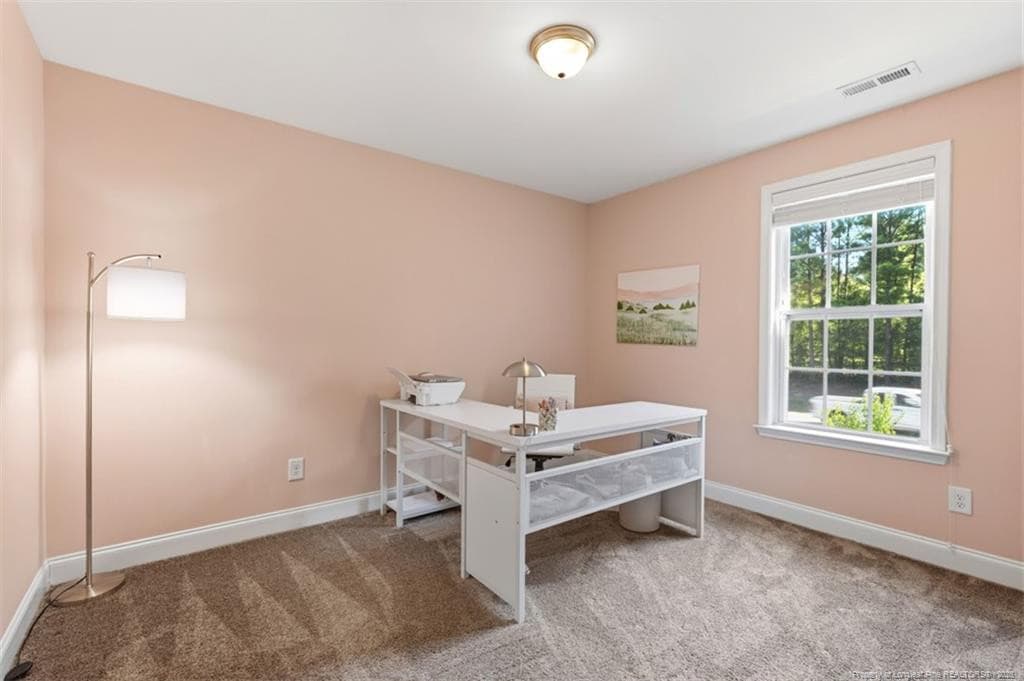 Photo 24 - 213 Stella Way, Cameron, NC 28326
