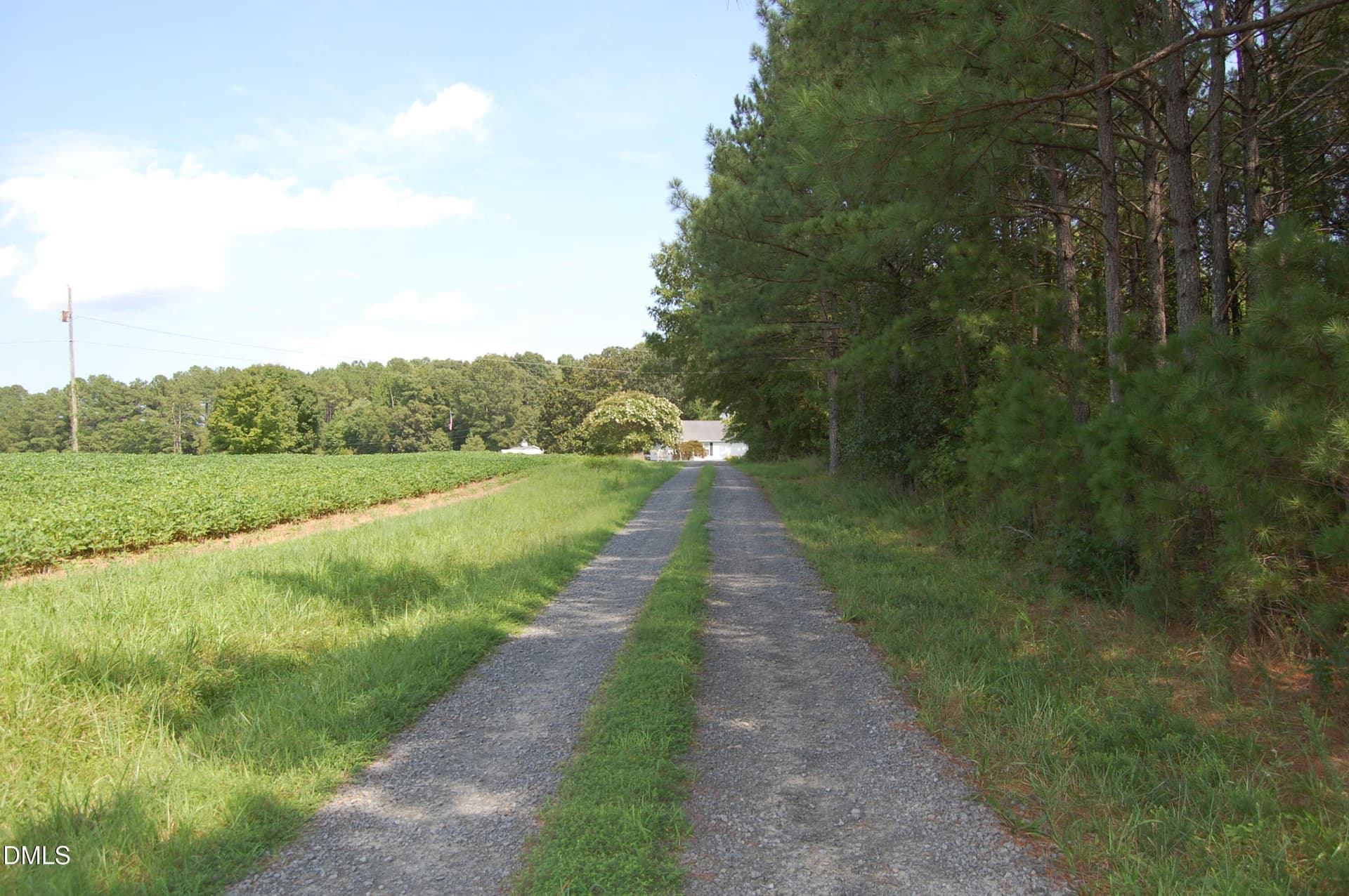 DSC_1052 - 4679 Harper Renn Road, Oxford, NC 27565