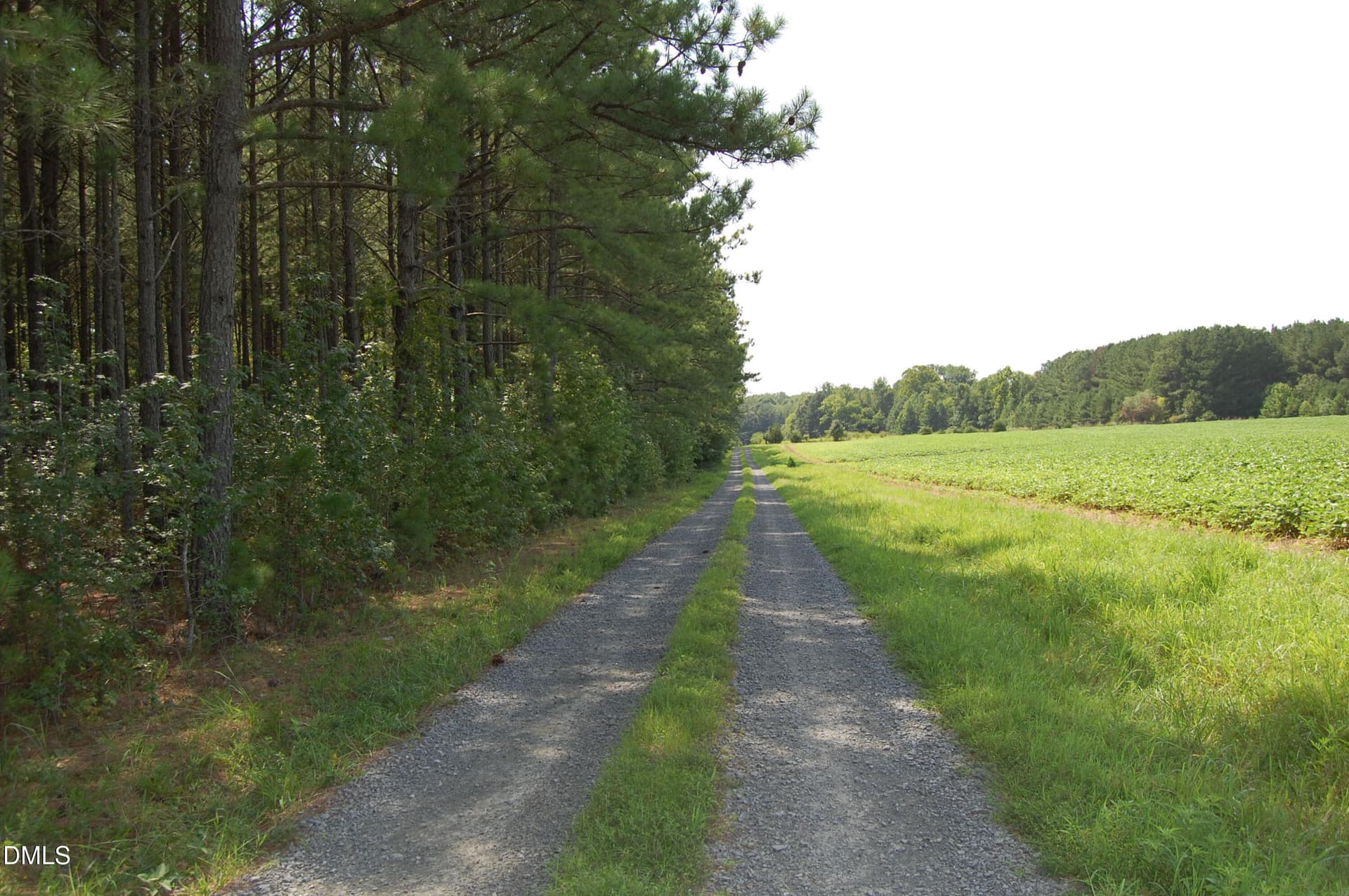 DSC_1053 - 4679 Harper Renn Road, Oxford, NC 27565
