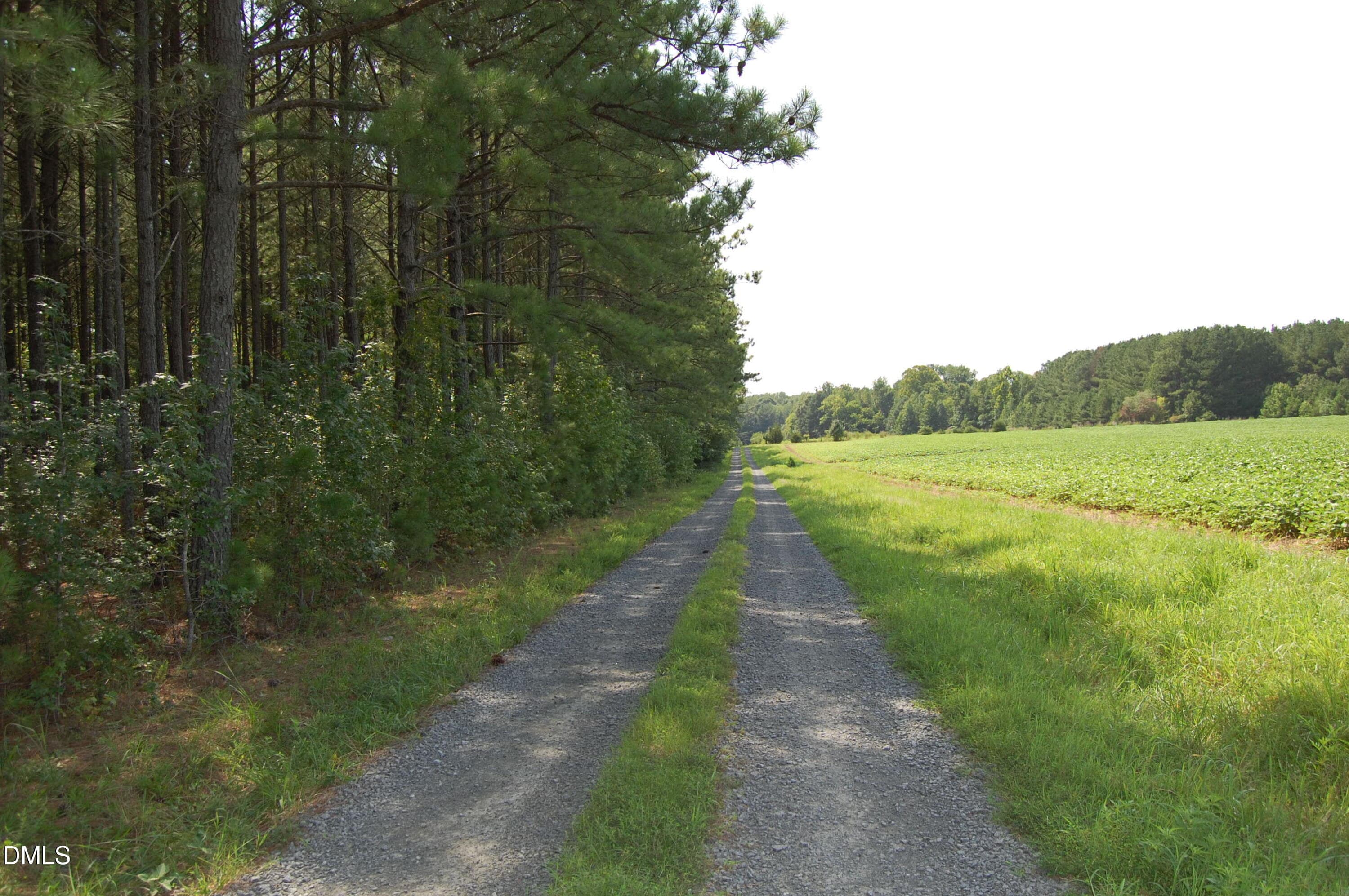 DSC_1053 - 4679 Harper Renn Road, Oxford, NC 27565