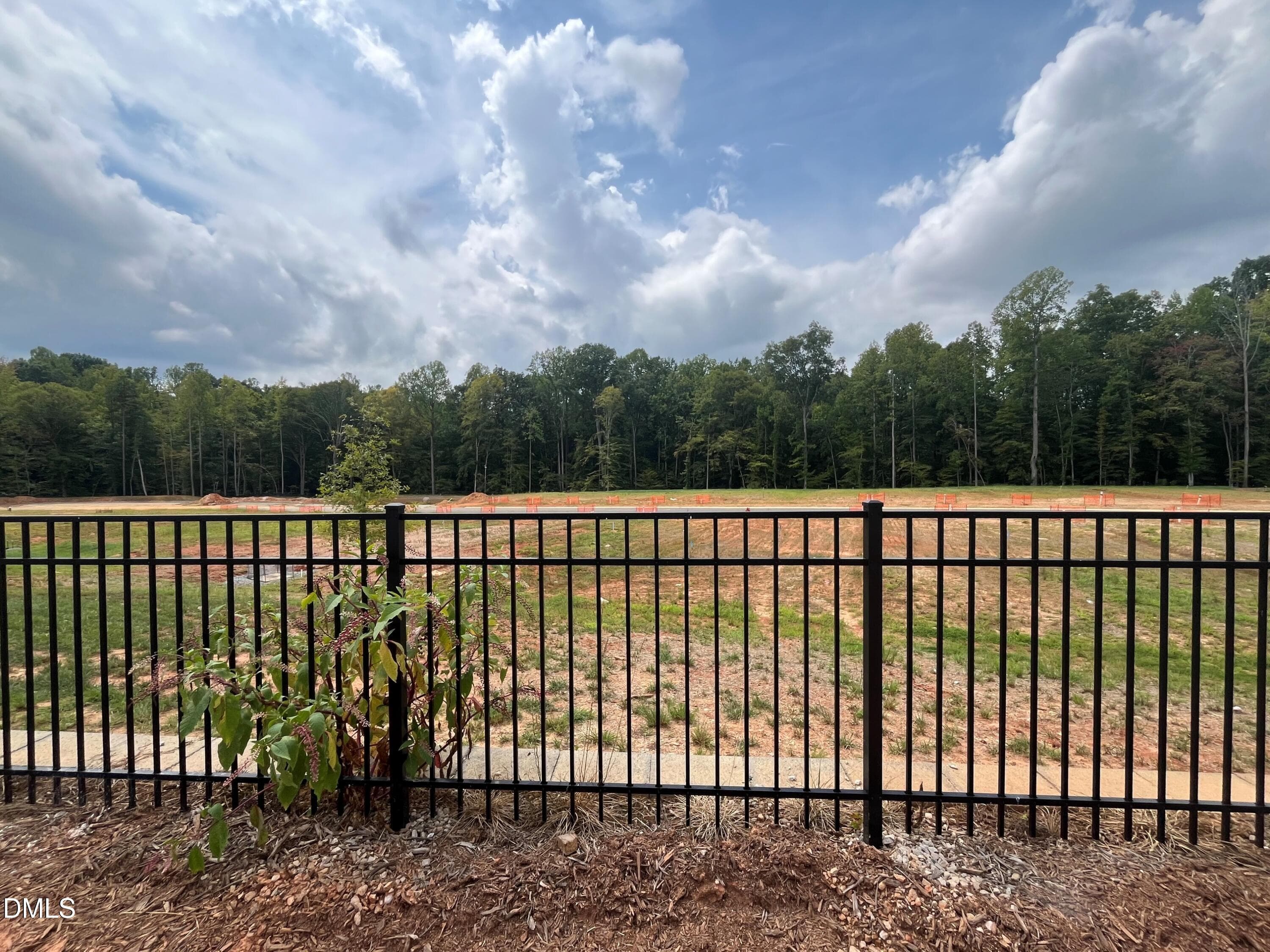 Rear view of private greenspace area - 1337 Hammond Drive, Mebane, NC 27302, Mebane