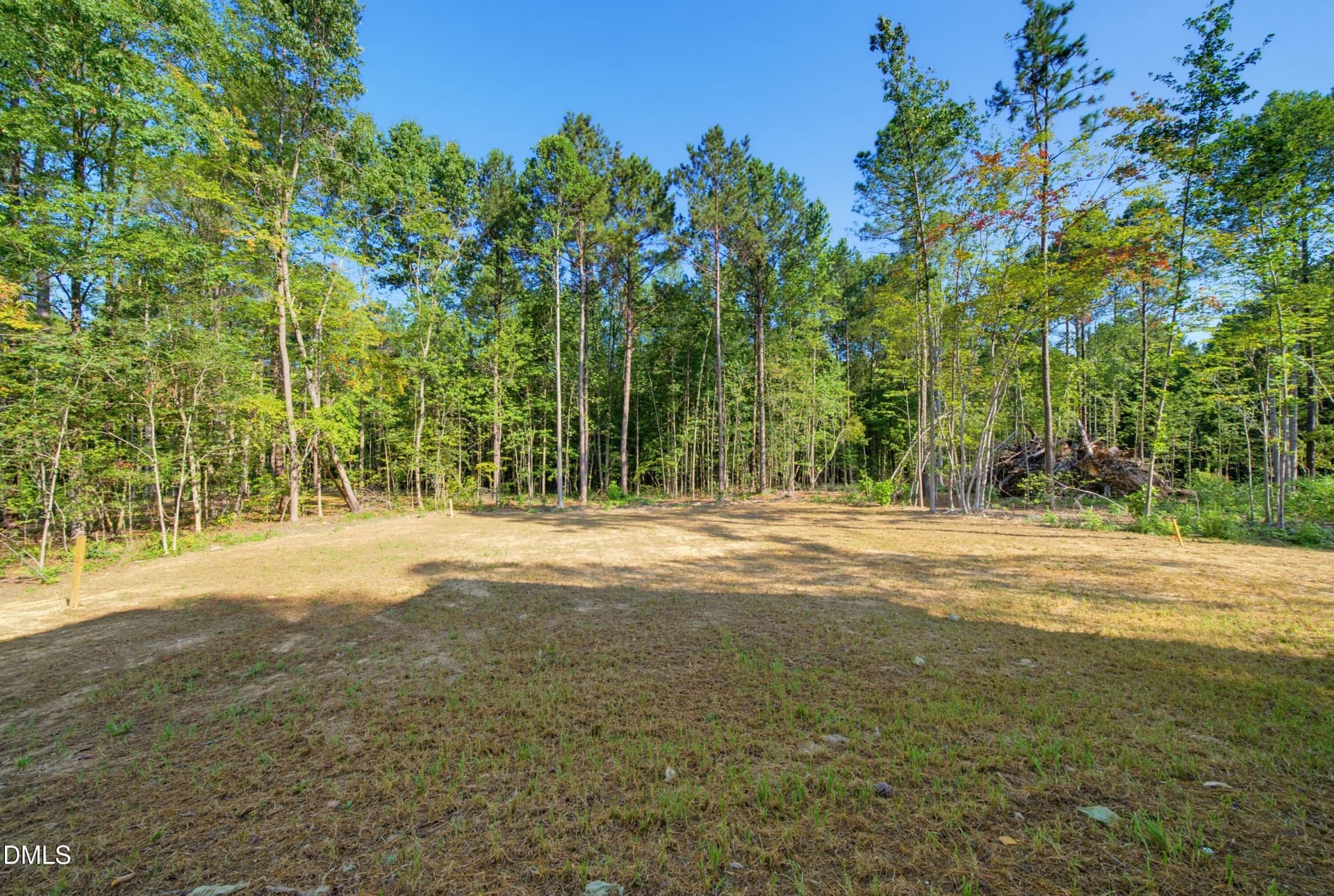 DSC02898 - 1223 S Big Woods Road, Spring Hope, NC 27882