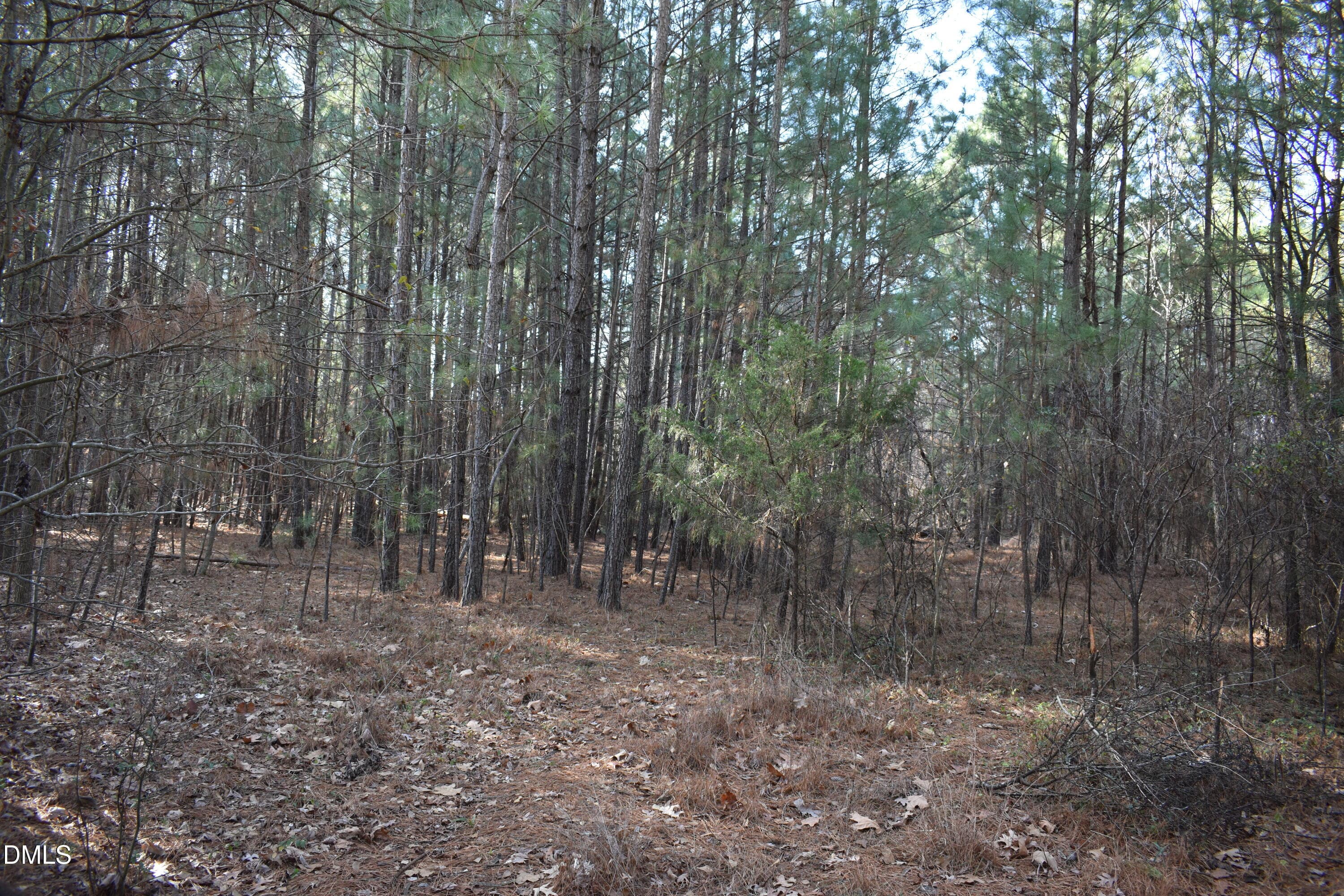 DSC_0394 - 806 Carpenter Fletcher Road, Durham, NC 27713, Durham