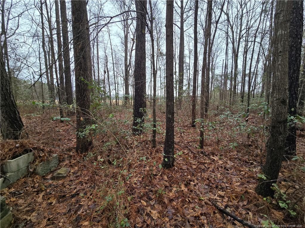 Photo 7 - 488 Green Street, Parkton, NC 28371
