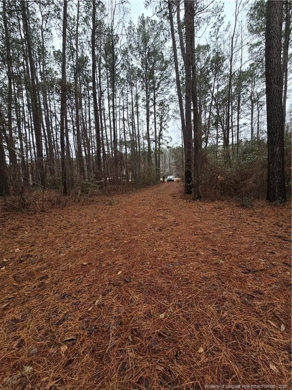 Photo 9 - 488 Green Street, Parkton, NC 28371