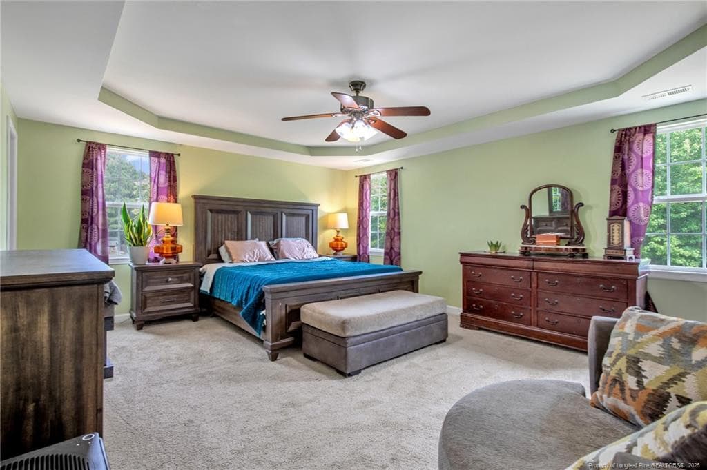 Photo 18 - 141 Rainmaker Street, Linden, NC 28356