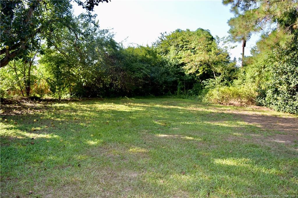 Photo 38 - 14740 NC 41 Highway S, Fairmont, NC 28340, Fairmont