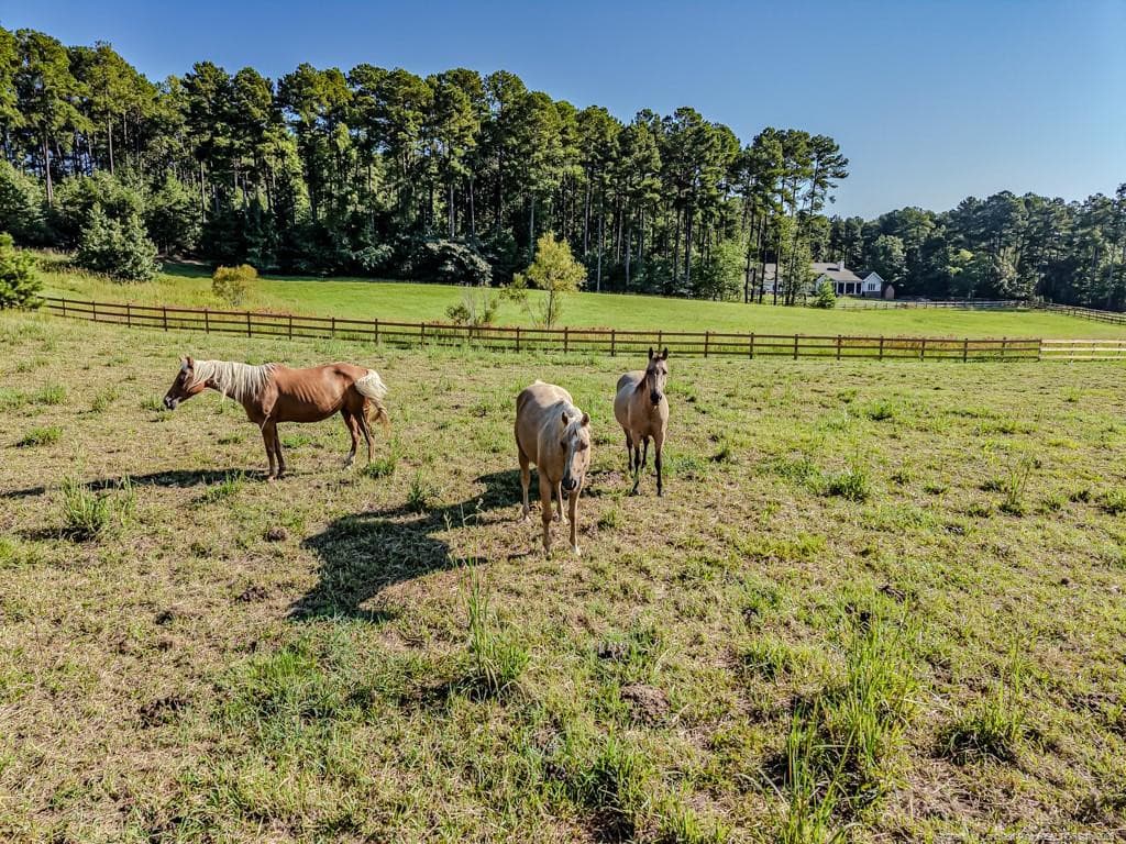 Photo 3 - 341 Bracken Hill Road, Cameron, NC 28326