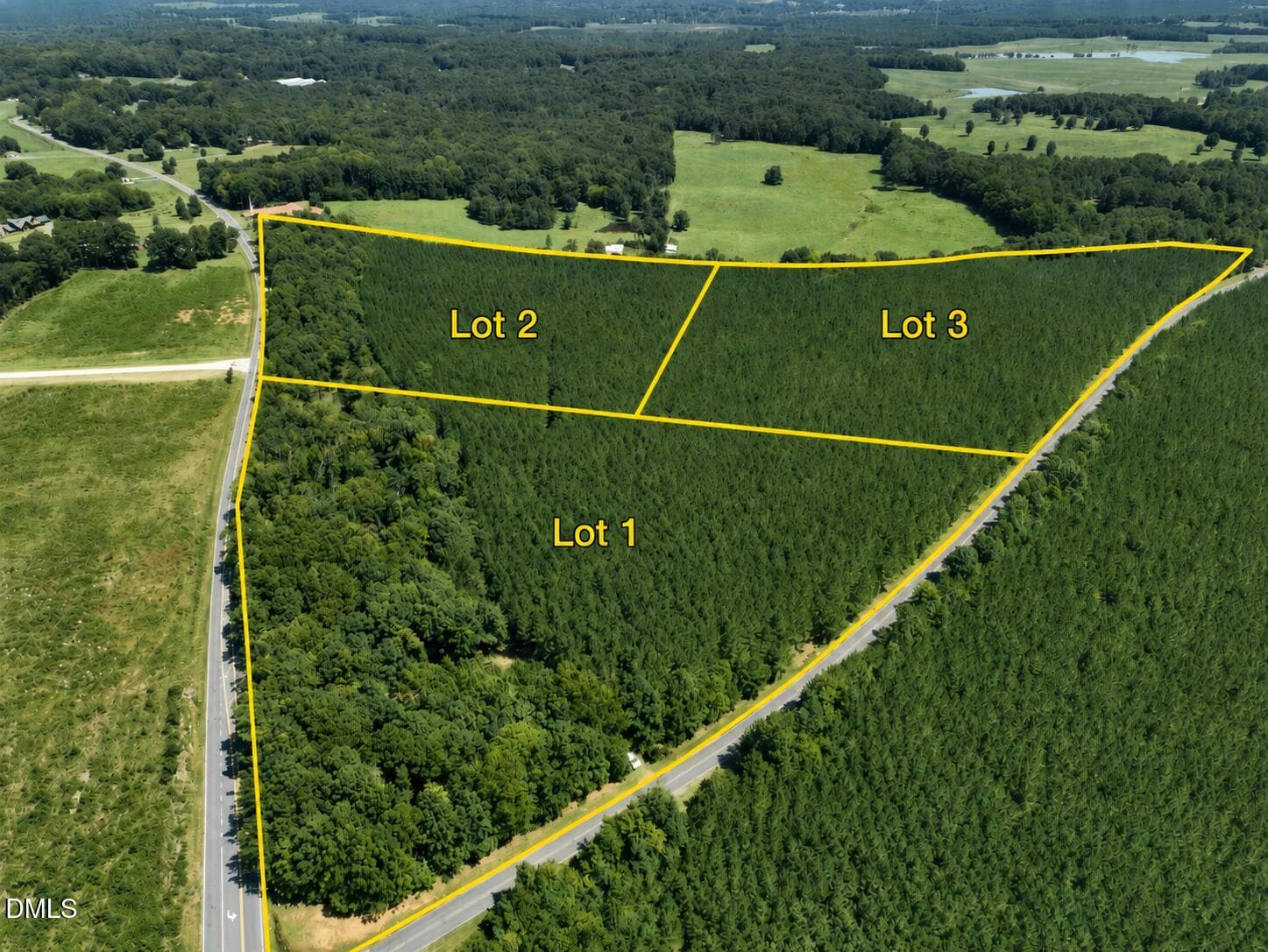 Pic 1 - Lot 2 Hwy 42 Road, Goldston, NC 27252