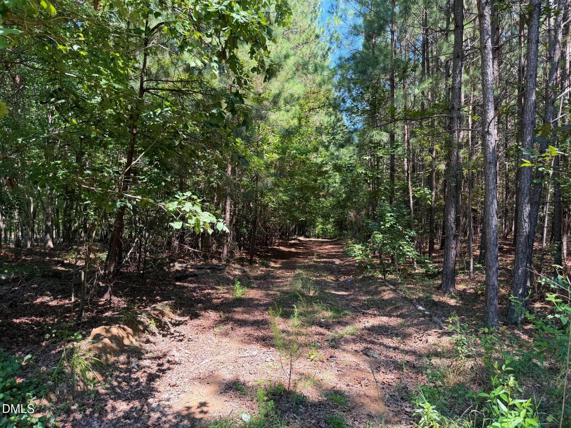 Pic 23 - Lot 2 Hwy 42 Road, Goldston, NC 27252