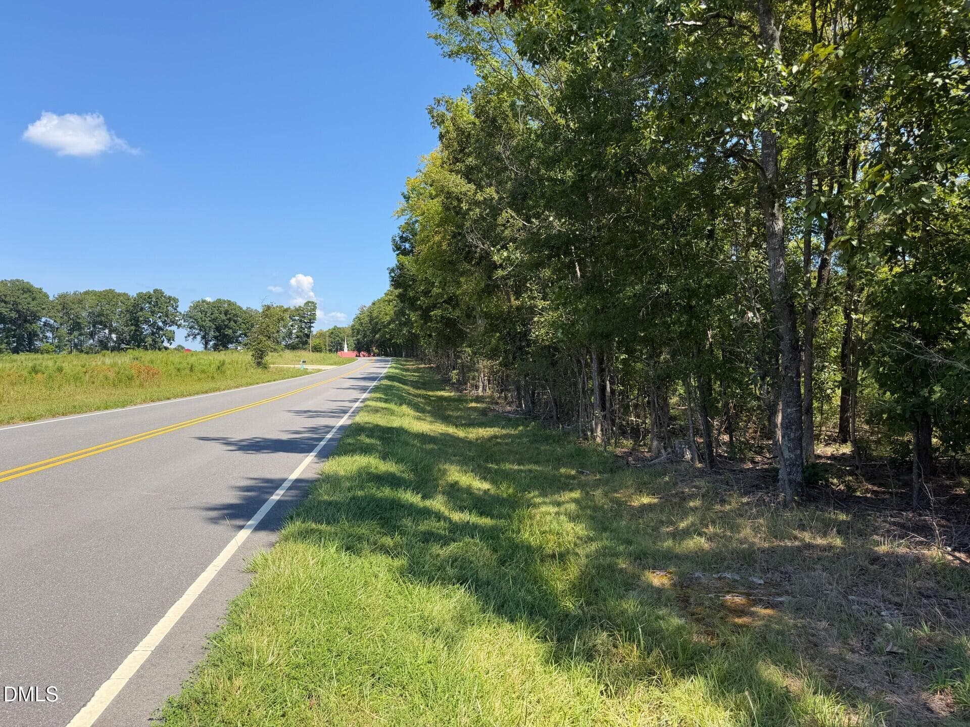 Pic 24 - Lot 2 Hwy 42 Road, Goldston, NC 27252