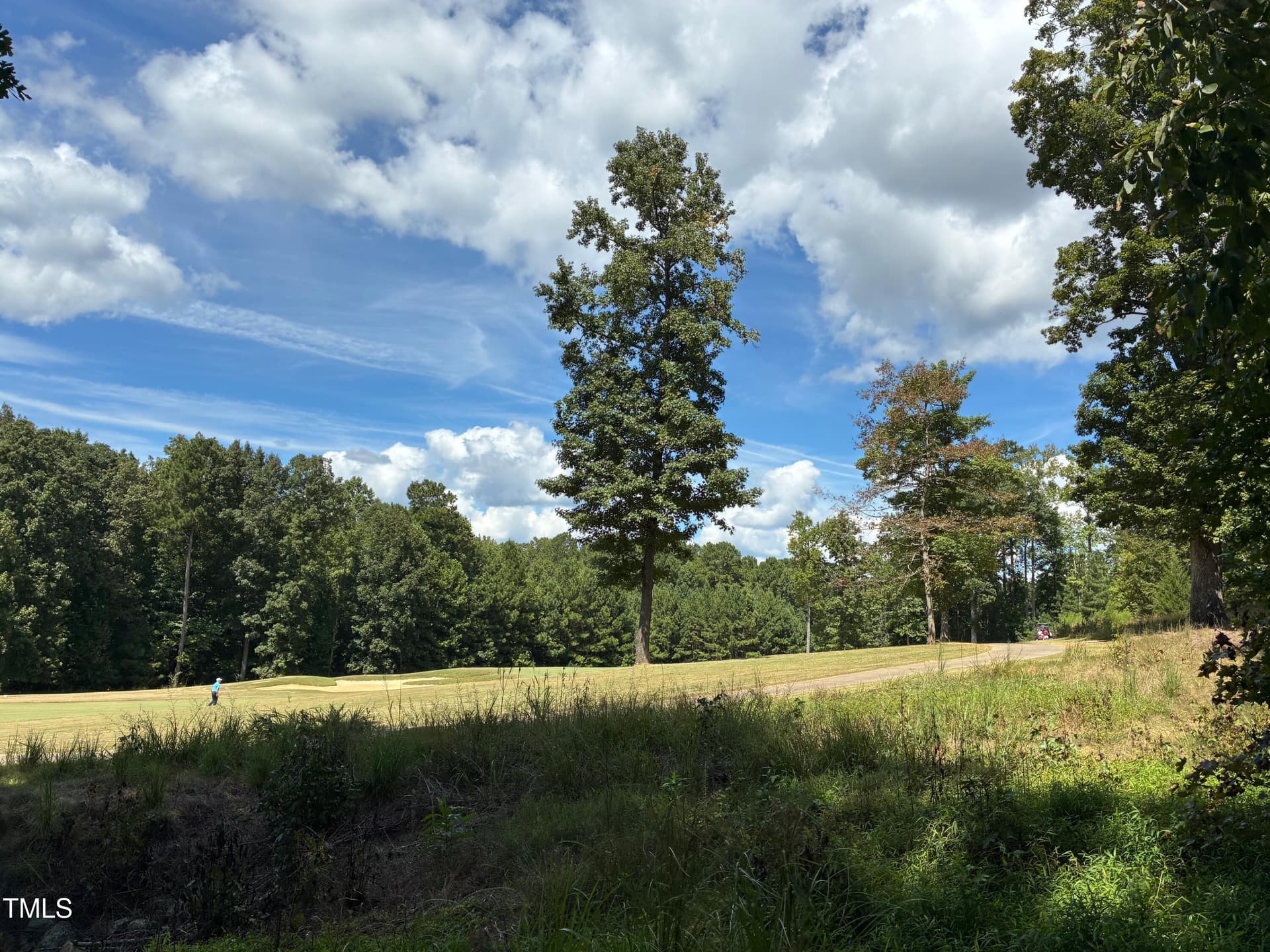 IMG_3816 - 48 Sweet Meadow Lane, Pittsboro, NC 27312