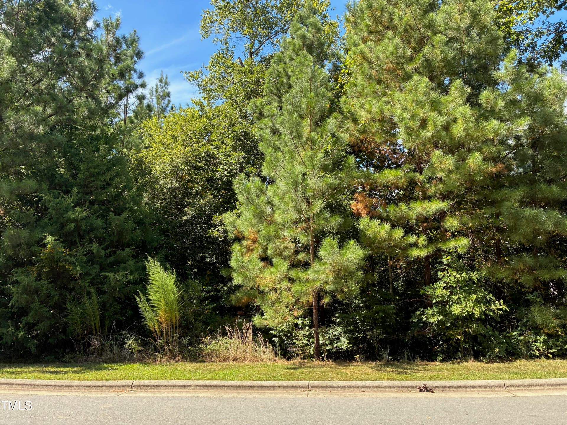 IMG_3809 - 48 Sweet Meadow Lane, Pittsboro, NC 27312